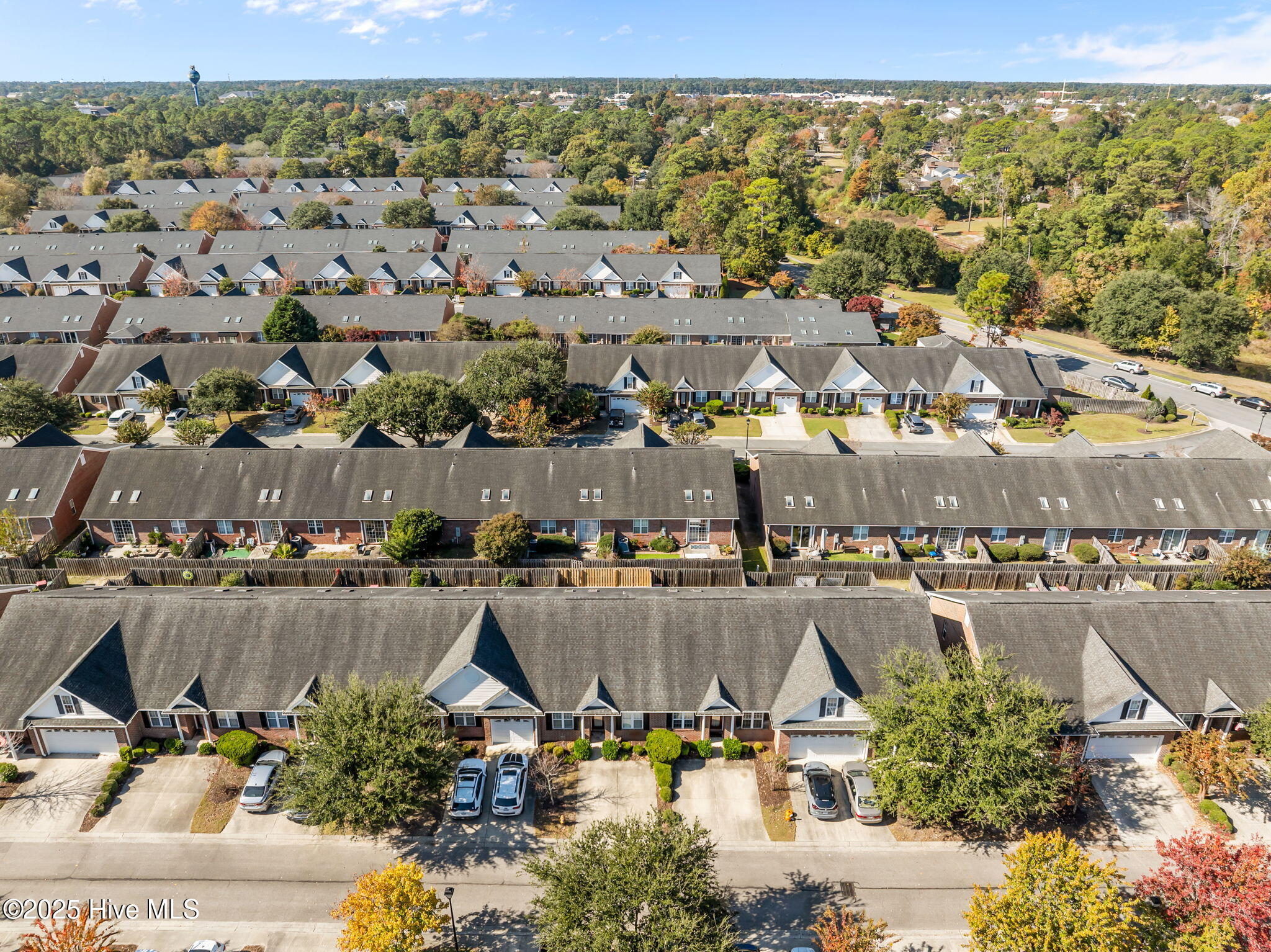 100540244 | Photo 48