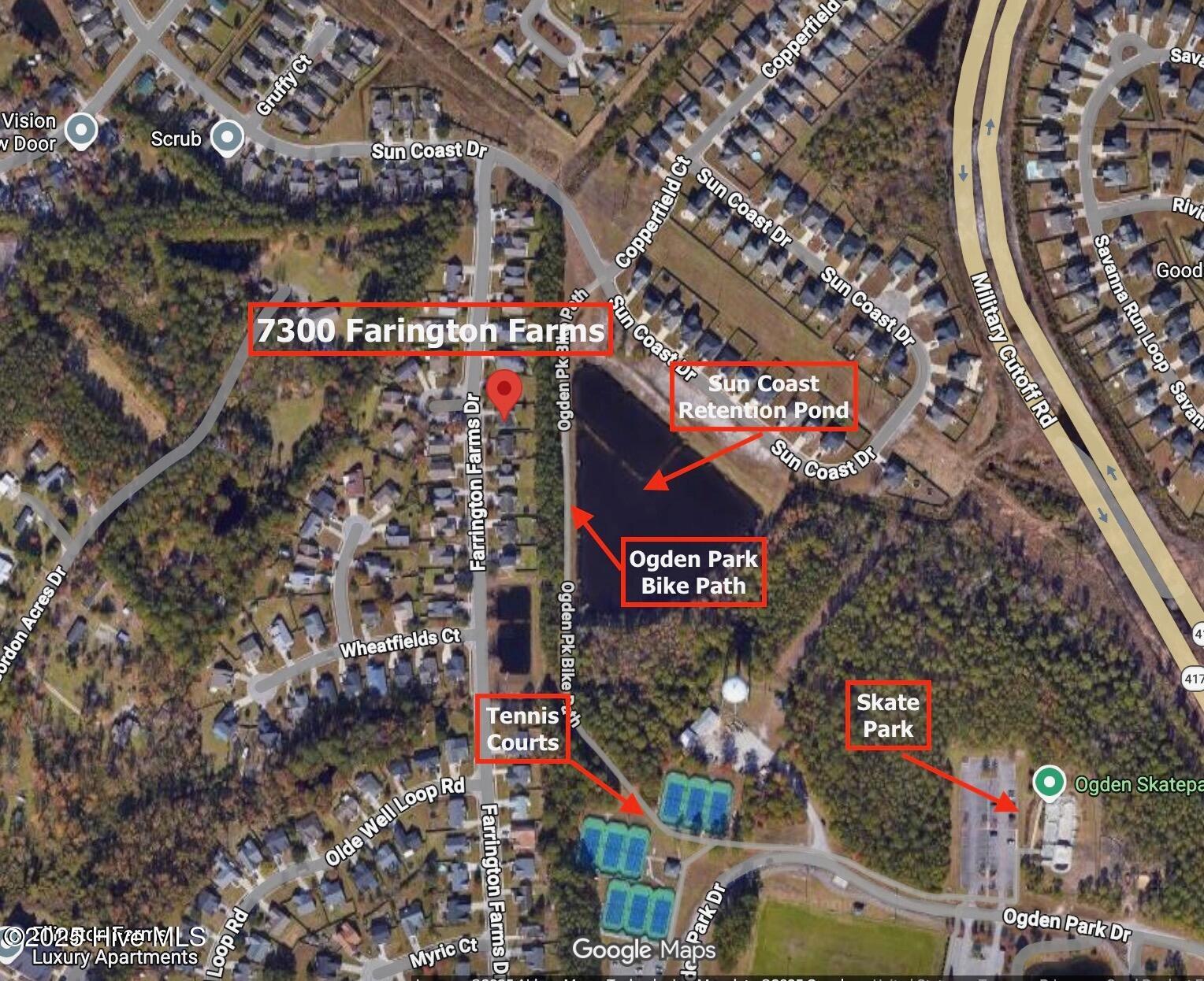 100540717 | Photo 50