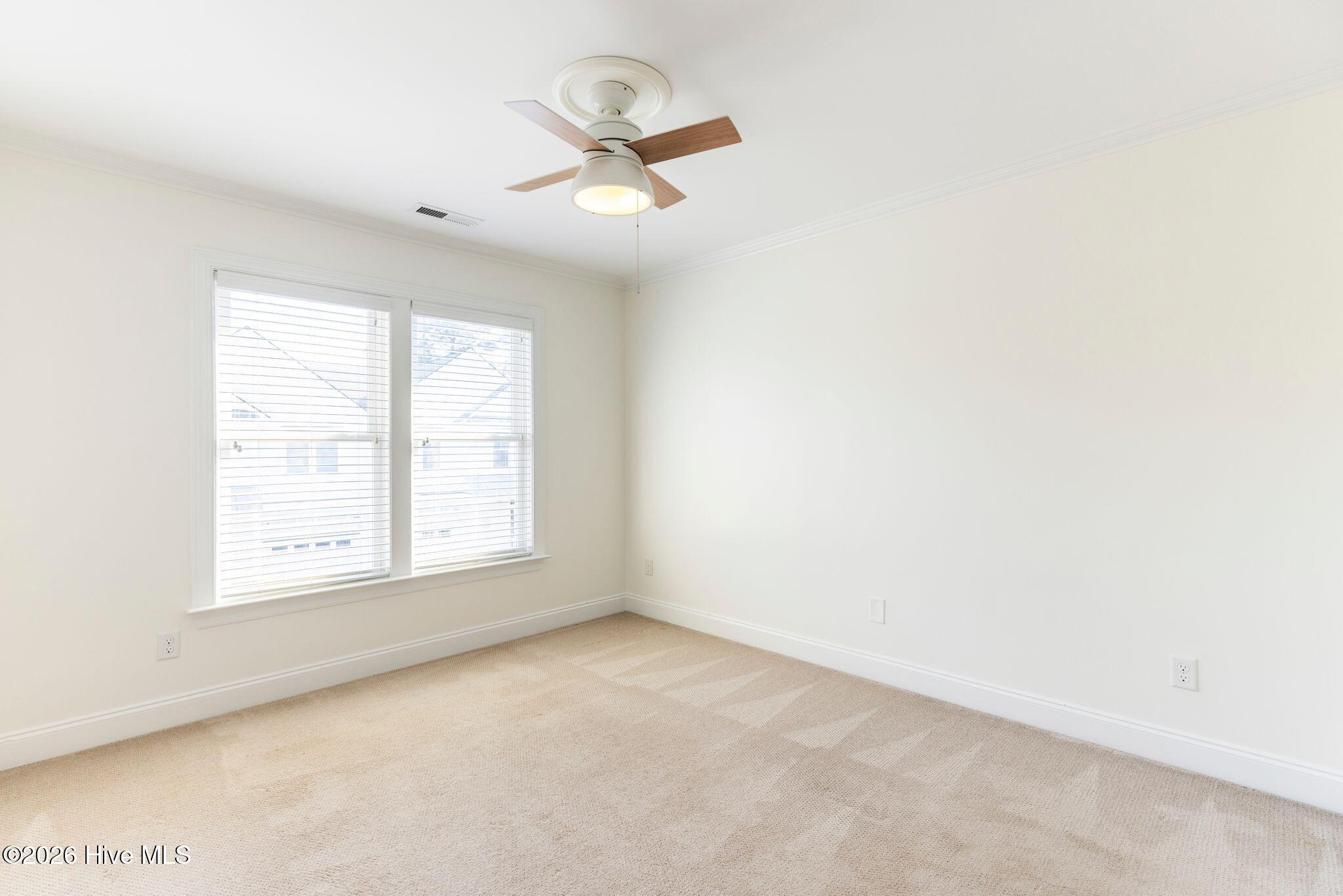 100560146 | Photo 42