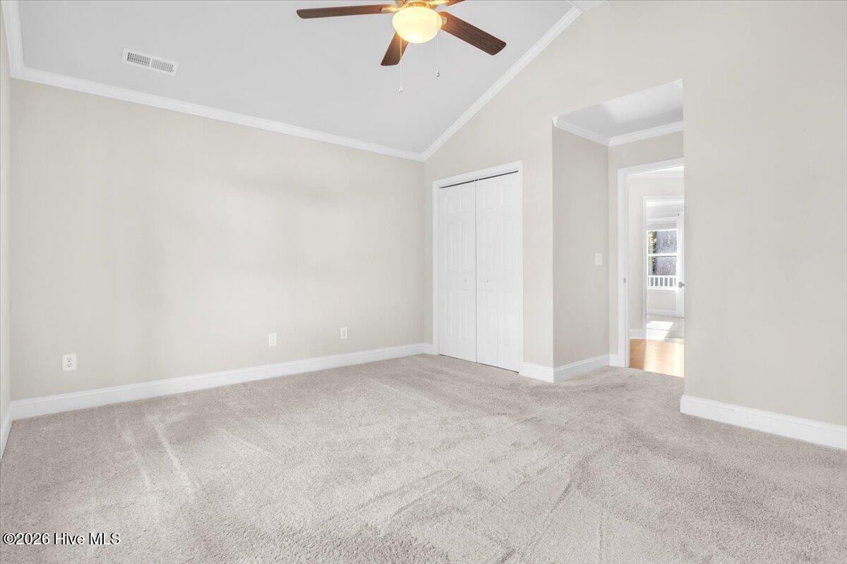 100556413 | Photo 39