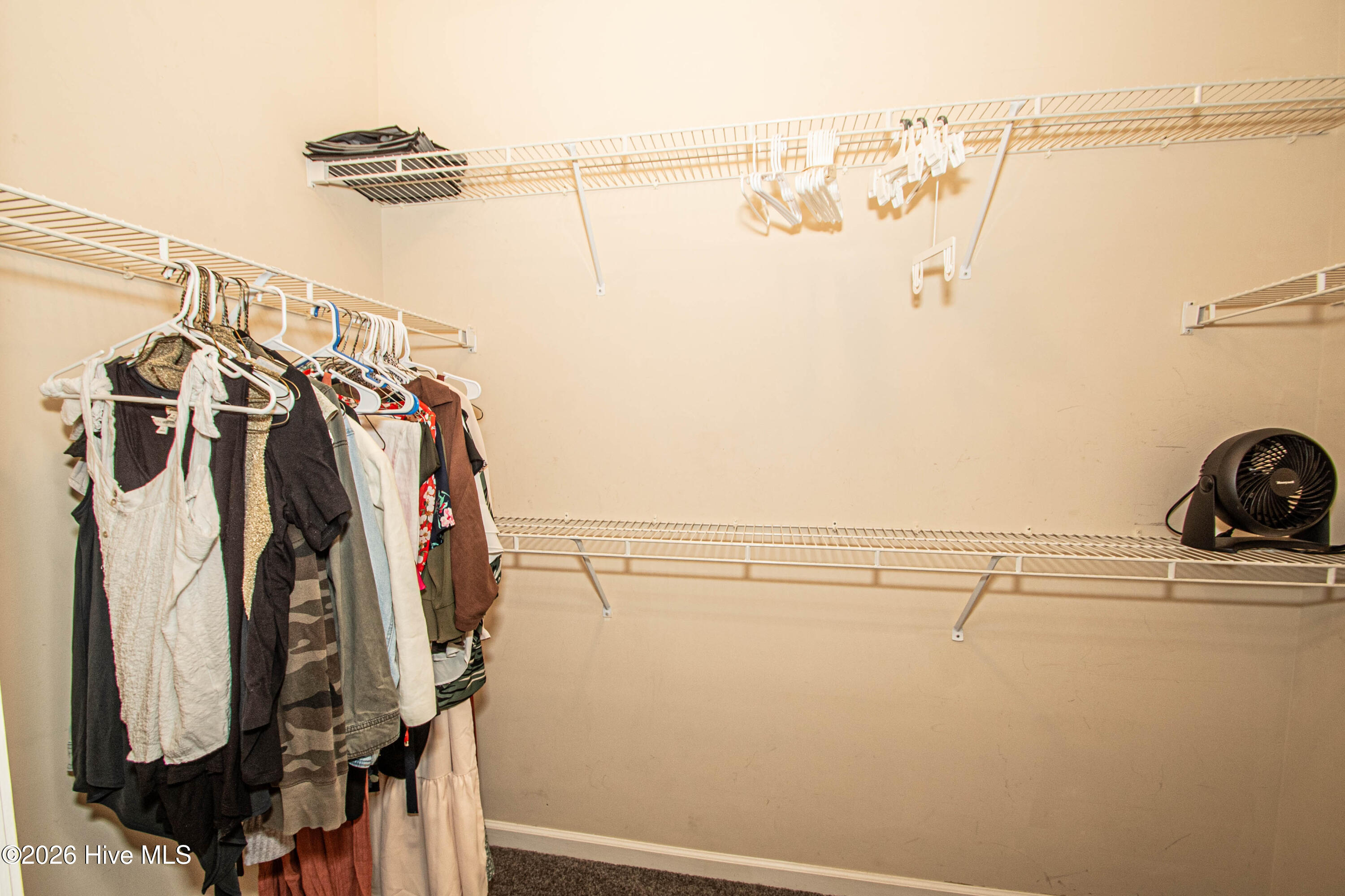 100559341 | Photo 25