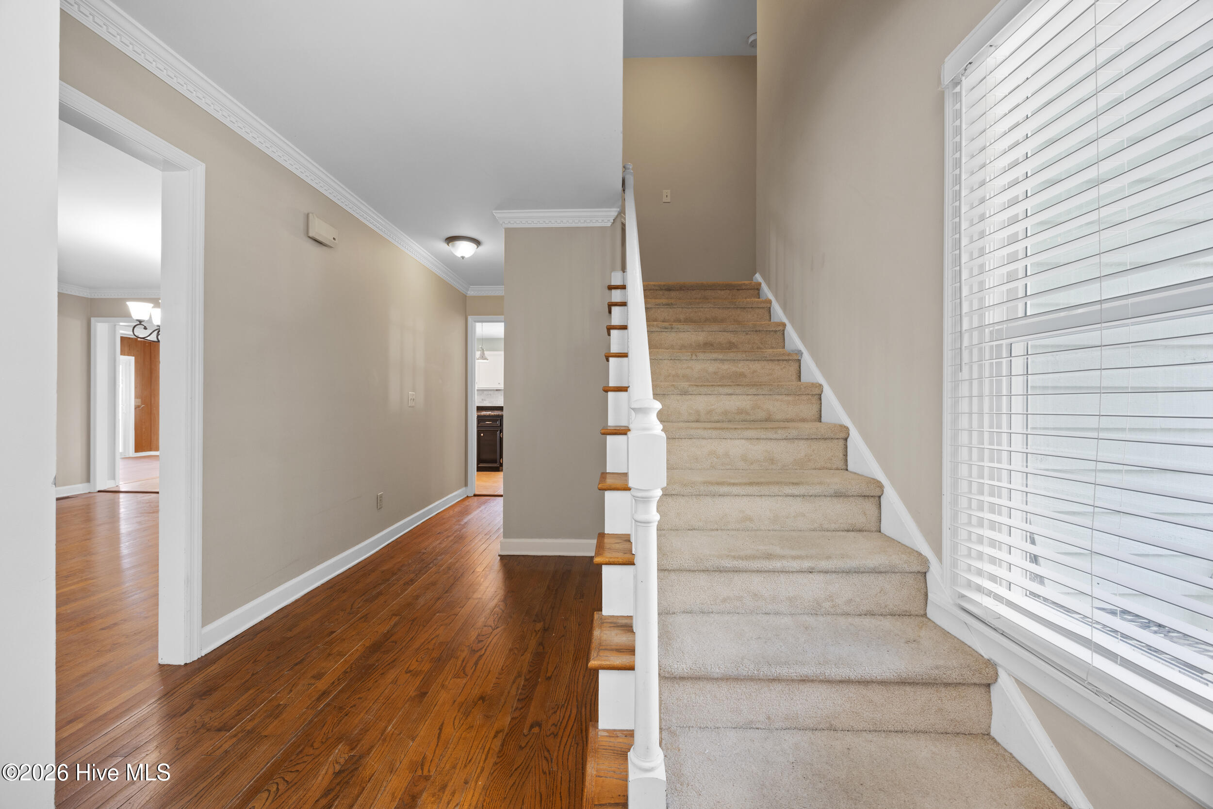 100558264 | Photo 22