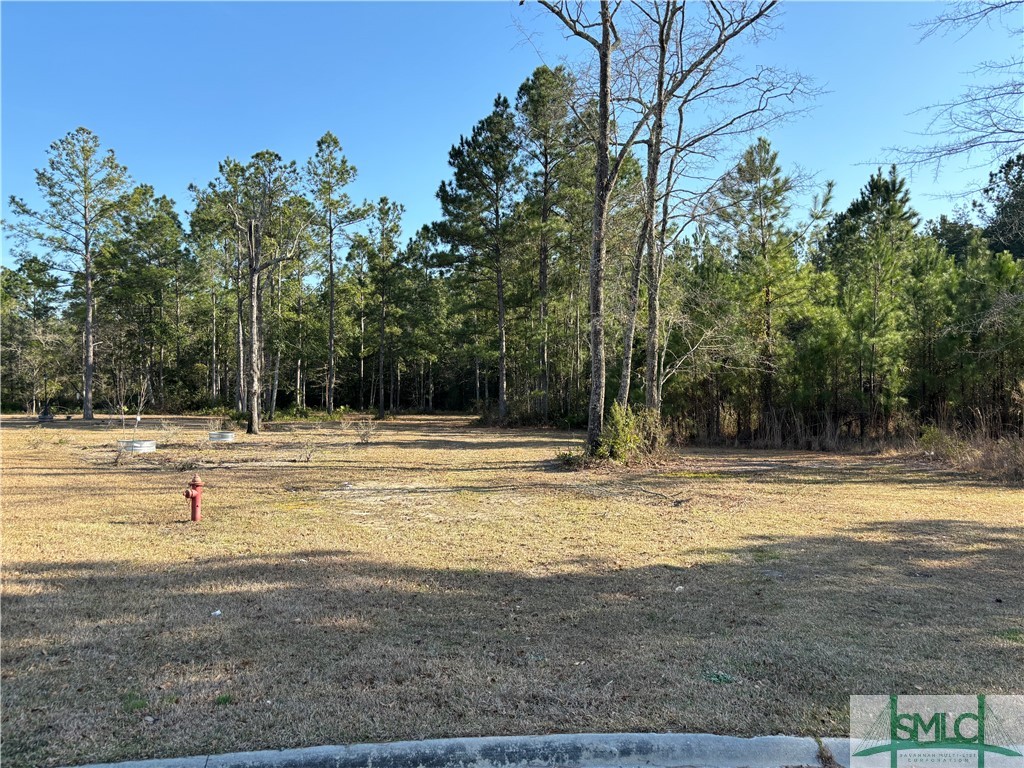 206 Lennox Place, Rincon, GA, 31326