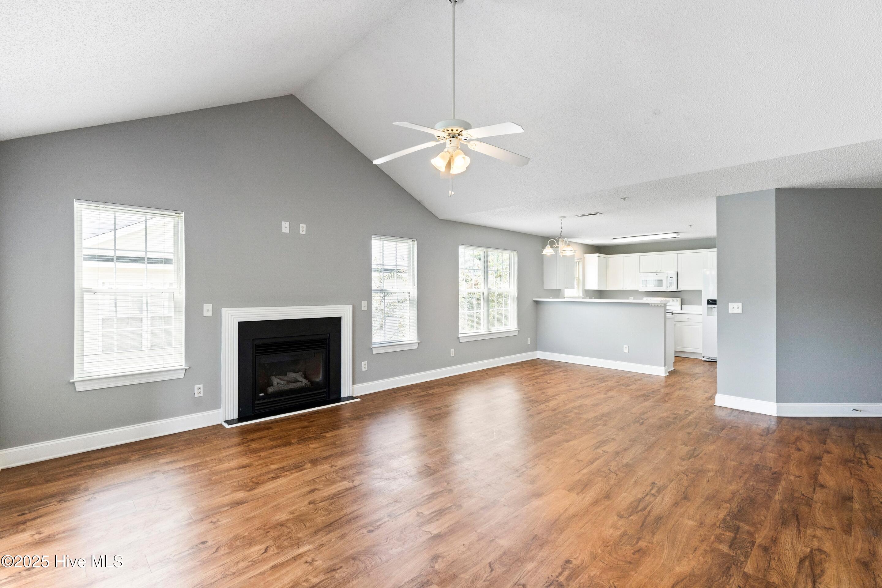 100527871 | Photo 14