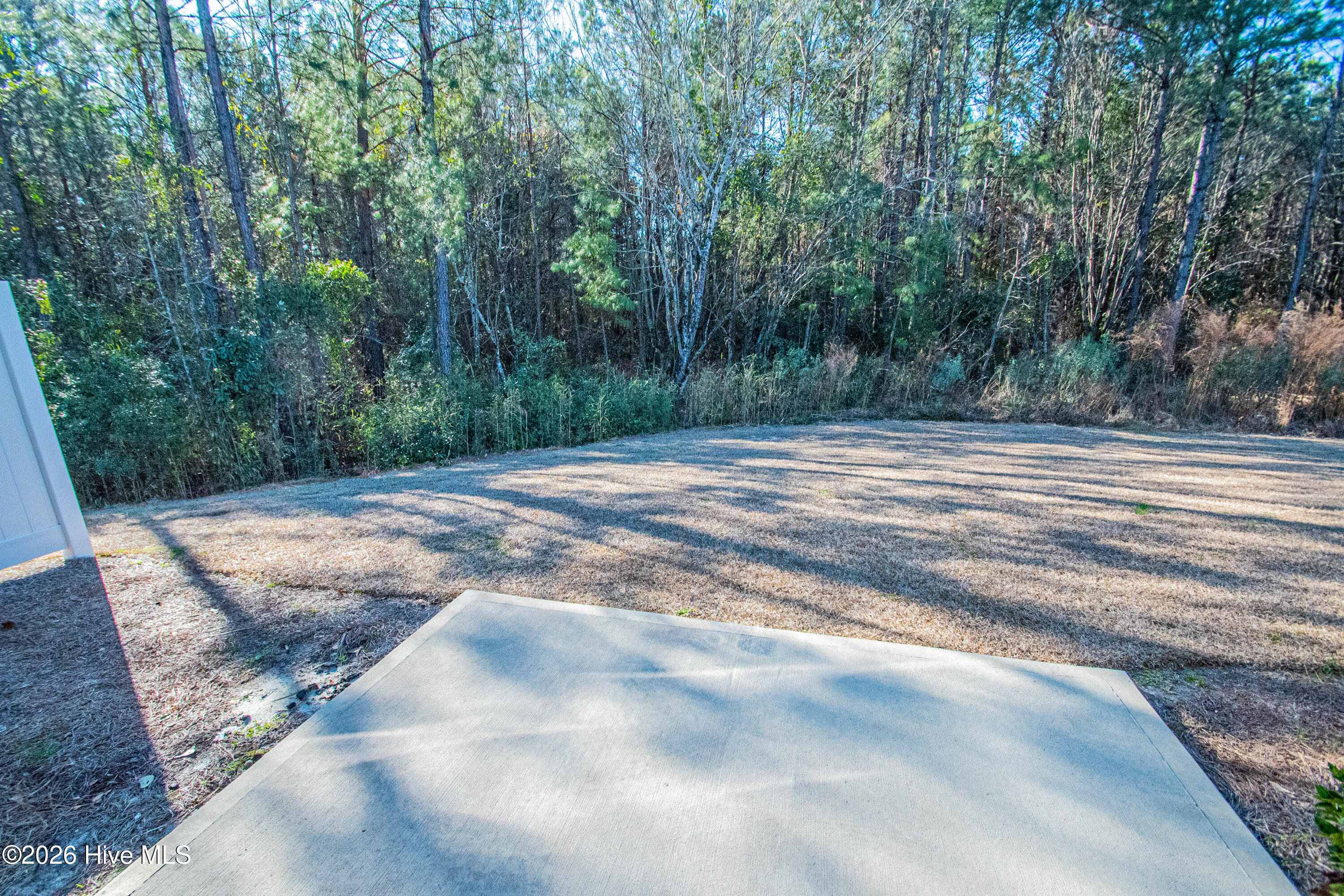 100553957 | Photo 23