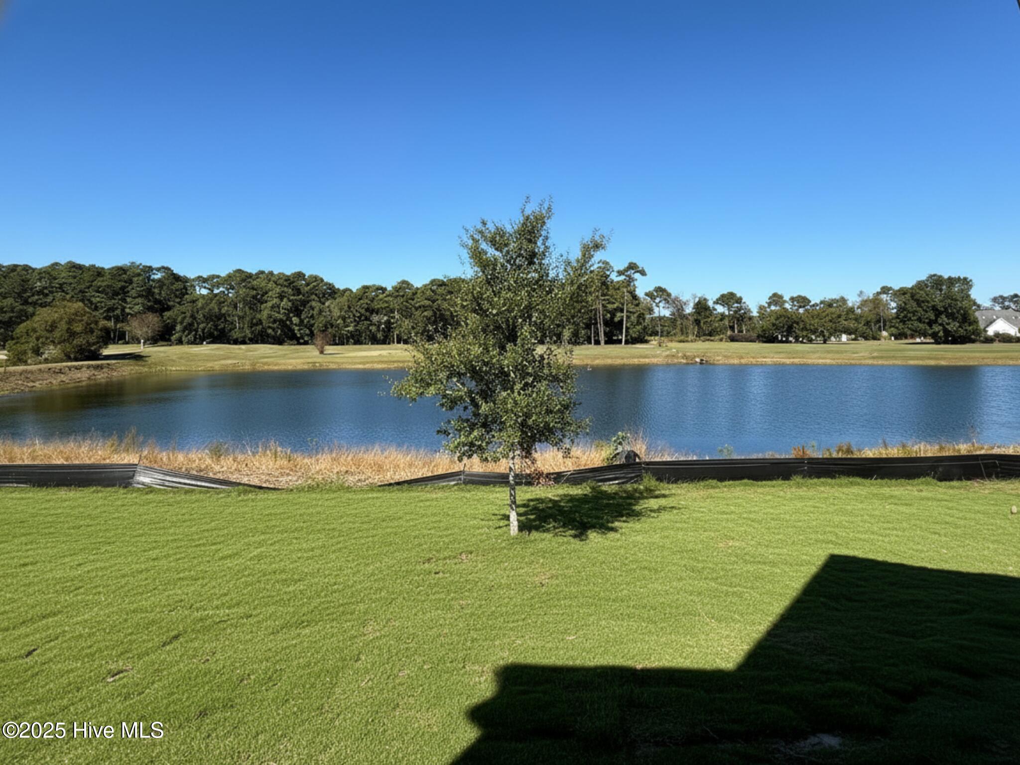 100537581 | Photo 10