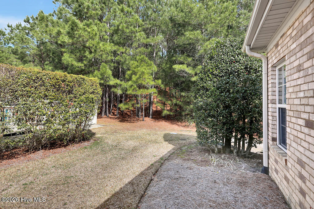 100558712 | Photo 35