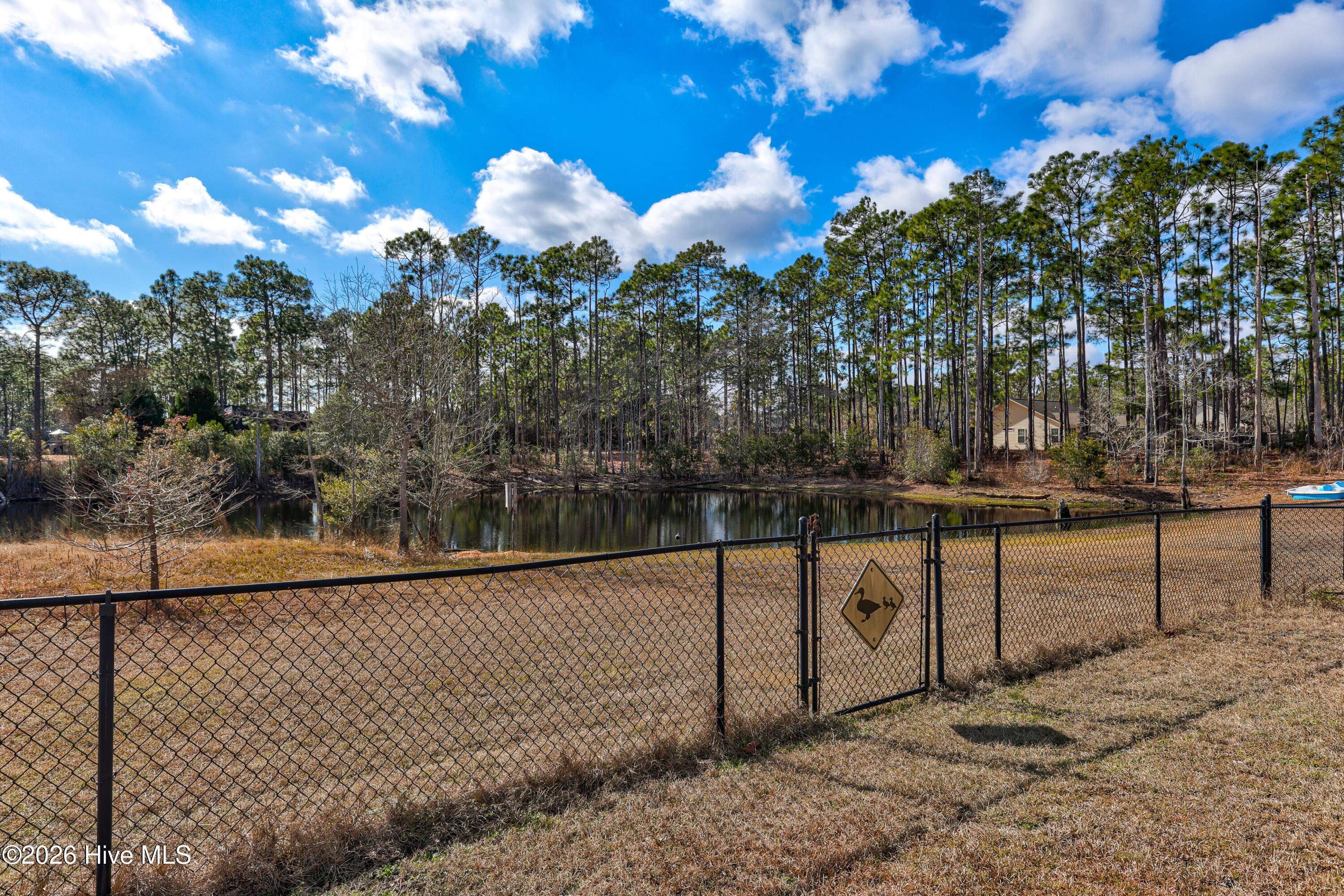 100551566 | Photo 34