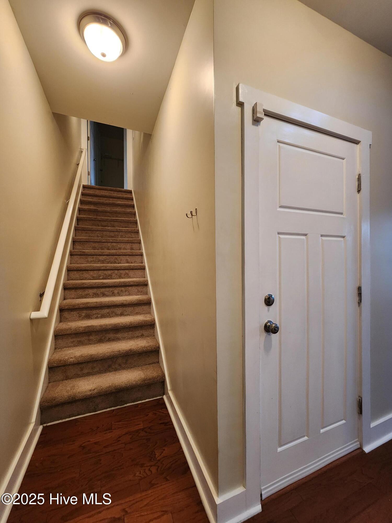 100569156 | Photo 39