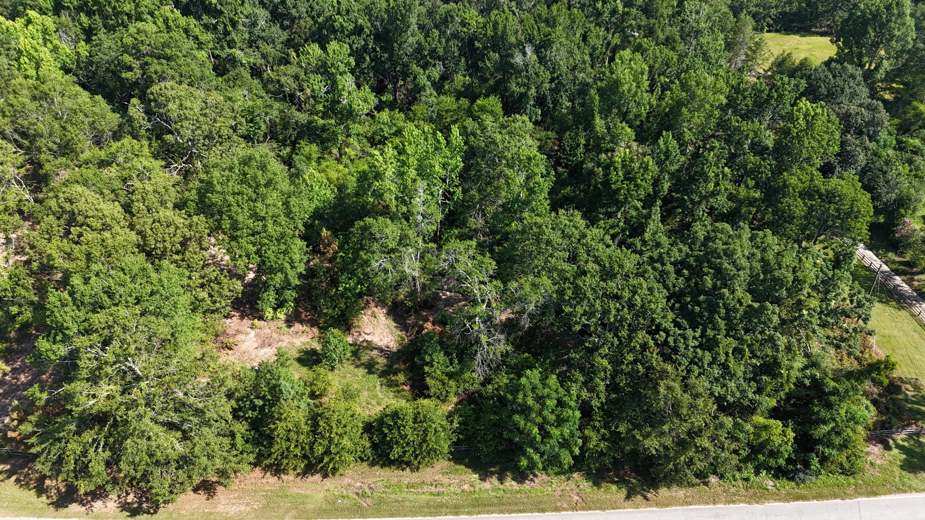 2039 Mcdade Farm Road, Hephzibah, GA, 30815