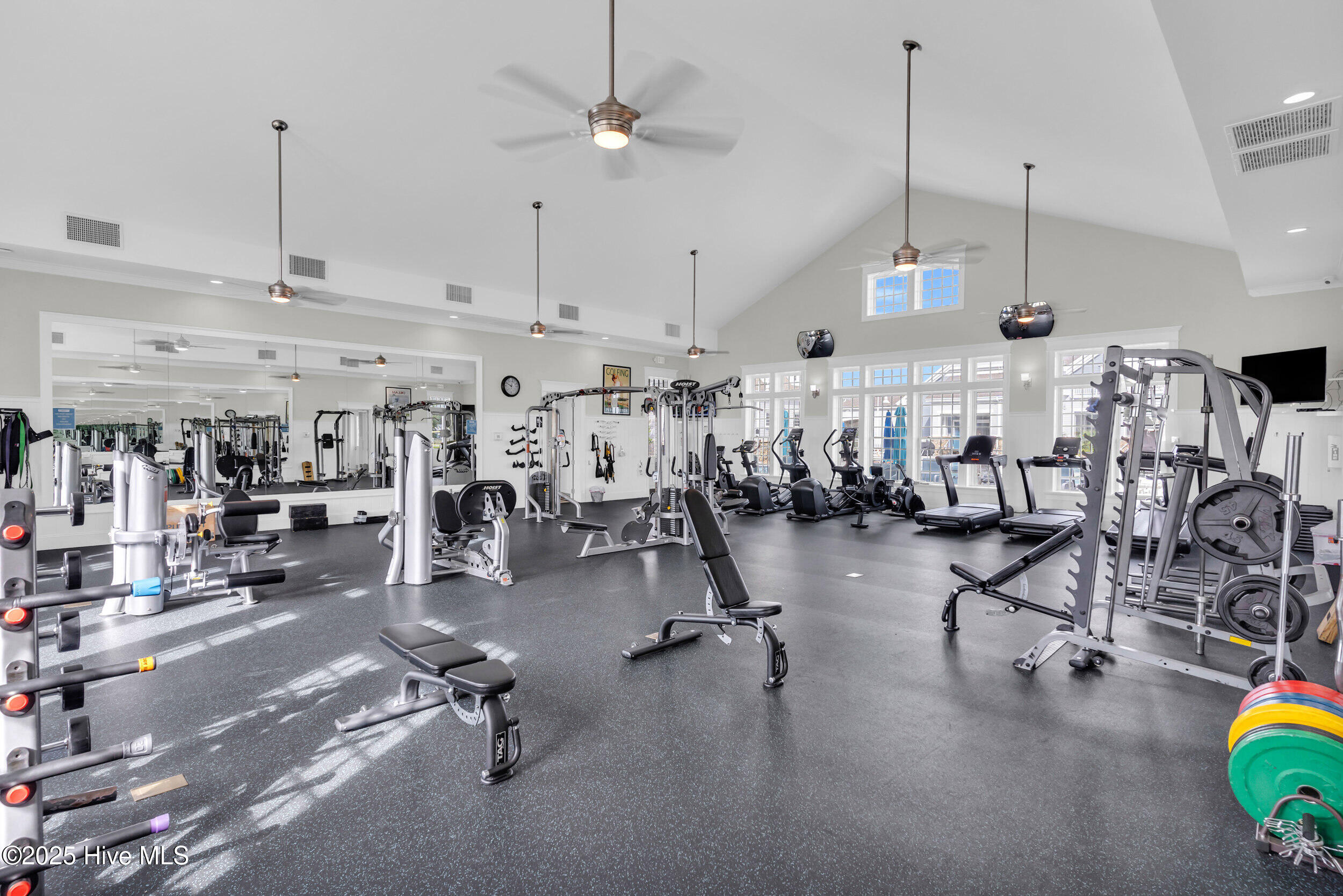 100535117 | Photo 80