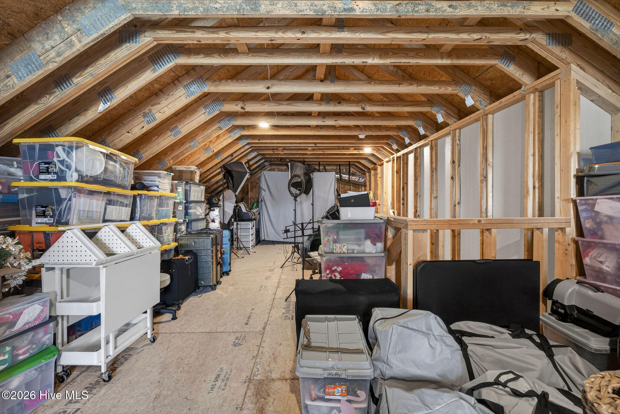 100569620 | Photo 42