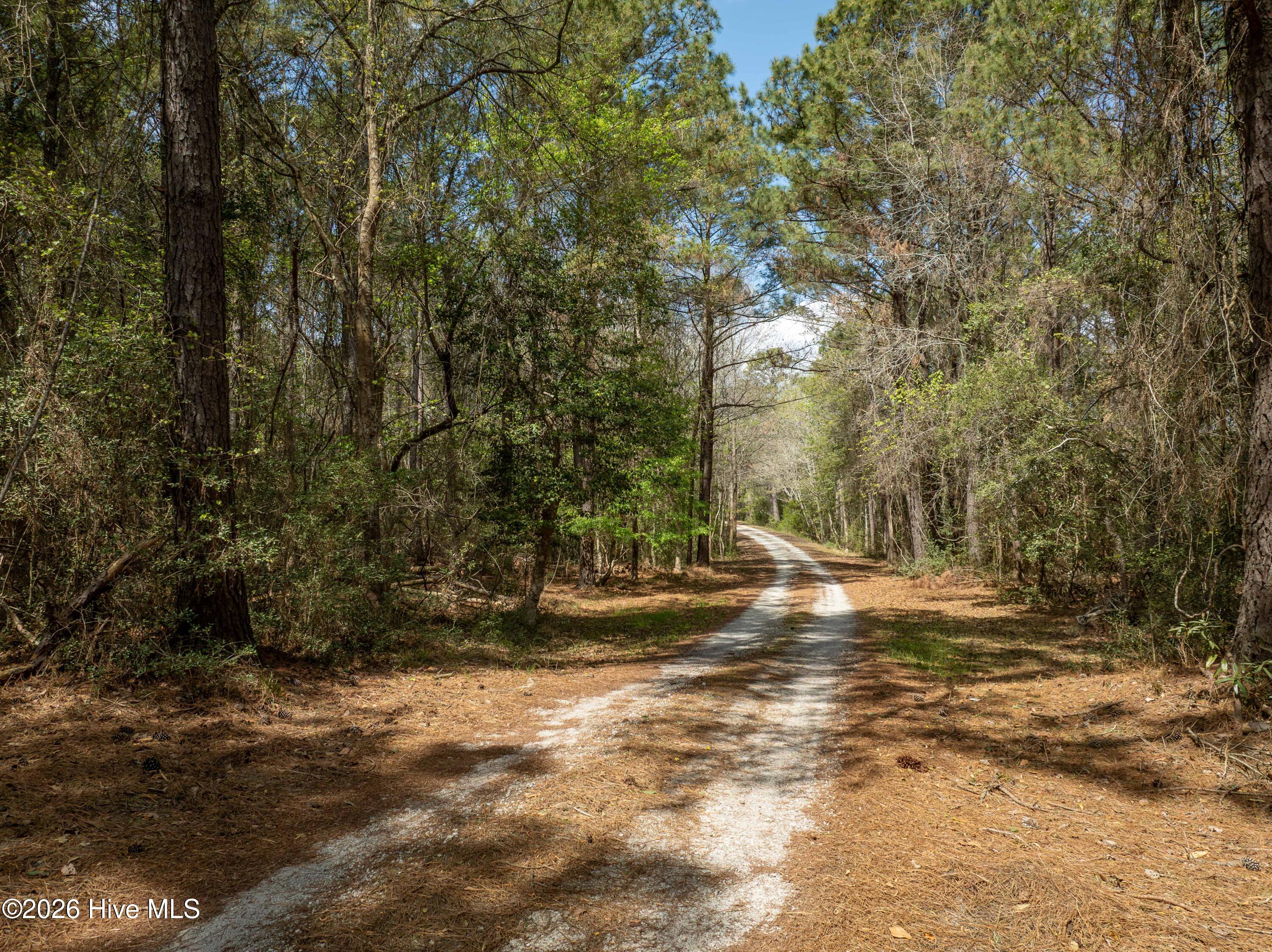 100564032 | Photo 27