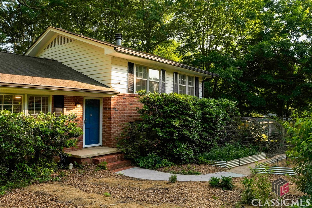 Charming Athens Home with a Thriving Food Forest!
Welcome to 515 Forest Heights Drive — a one-of-a-kind gem nestled in one of Athens' most desirable neighborhoods. This inviting home offers the perfect blend of natural beauty and modern comfort. Set on a lush, well-maintained lot, the front yard features a fully established food forest—an edible landscape designed for low-maintenance abundance. Imagine stepping outside your front door to harvest fresh fruits, berries, herbs, and greens throughout the seasons!
Inside, the main floor is open combining the fully remodeled kitchen and a warm light filled living area perfect for relaxing or entertaining. The kitchen features solid quartzite countertops, new stainless steel appliances, and custom handmade solid maple cabinets. You can access the backyard through a sliding glass door from either the screened in porch or the adjoining open deck. On the upper level you will find three bedrooms, including the primary suite with its own bathroom, as well as a shared full bath. The lower level features a guest suite with fireplace and full bath that has its own separate walk out and driveway.  The laundry room is also located on that level with access to the enclosed garage with a newer roll up door. The home is full of charming touches throughout, including a wood burning stove on the main floor.  The crawlspace has been encapsulated and the insulation has been redone making the home more energy efficient.
The spacious backyard, mature trees, chicken coop, greenhouse, and quiet corner lot offer privacy and a serene connection to nature— while also giving you the rare blend of urban convenience as it is just minutes from downtown Athens, UGA, and local shops and restaurants. Whether you're a gardener, a foodie, or simply looking for a peaceful sanctuary, this home offers a truly special lifestyle.
Don’t miss your chance to own a living landscape and a beautiful home in the heart of Athens!