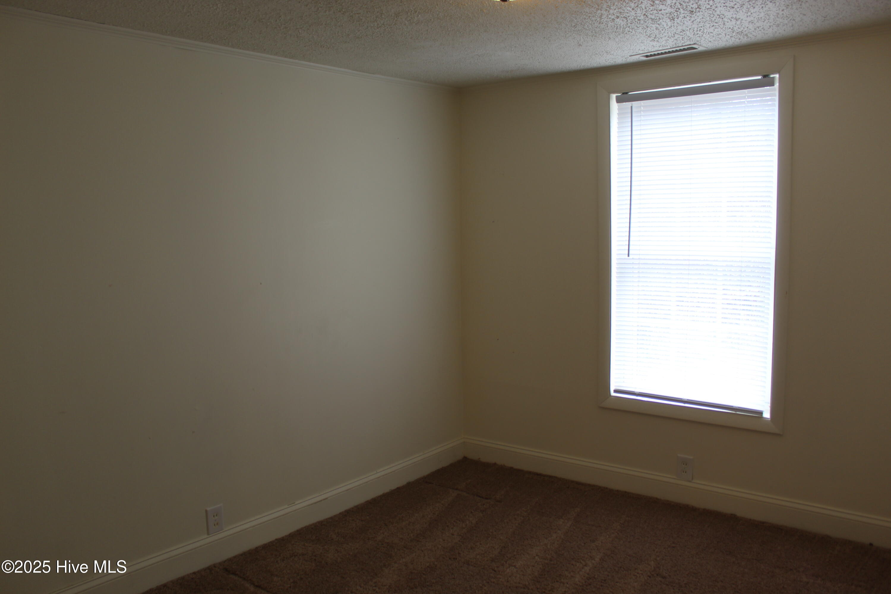 100546555 | Photo 10