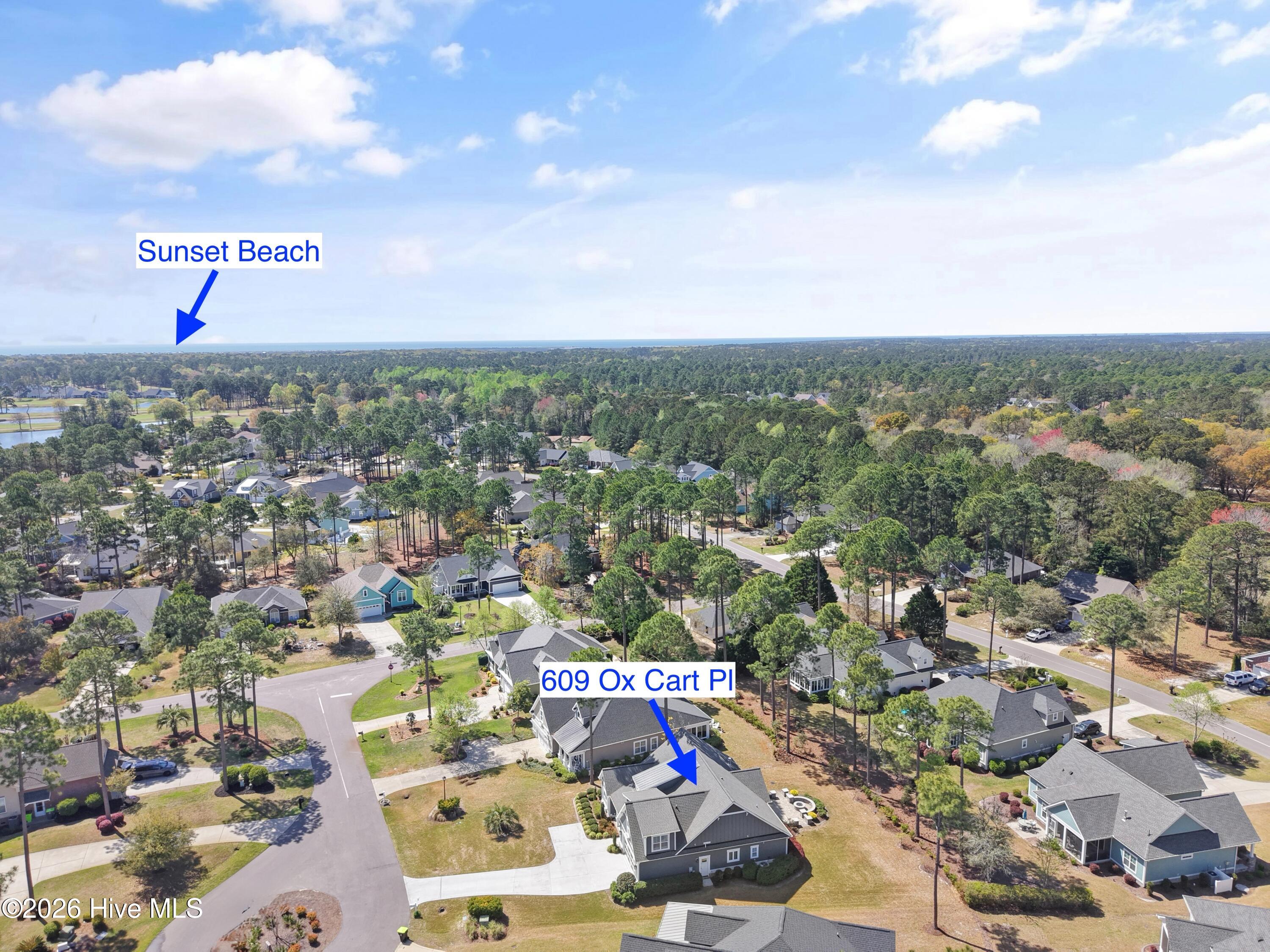 100564386 | Photo 70