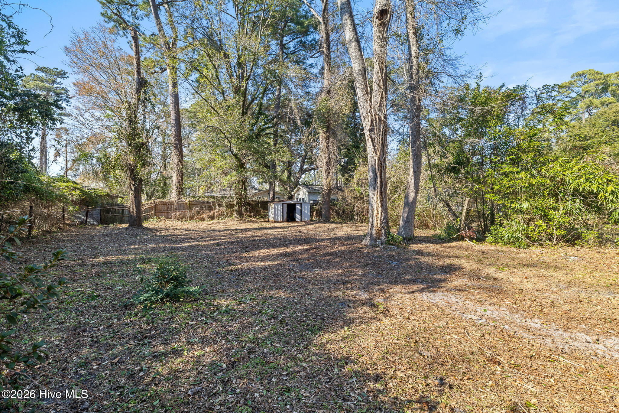 100555429 | Photo 31