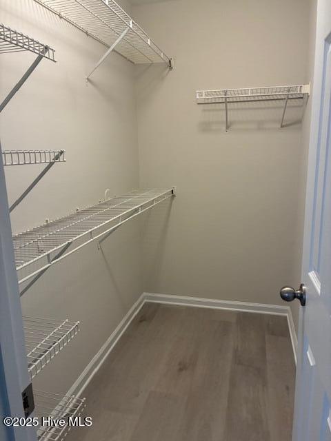 100546149 | Photo 16