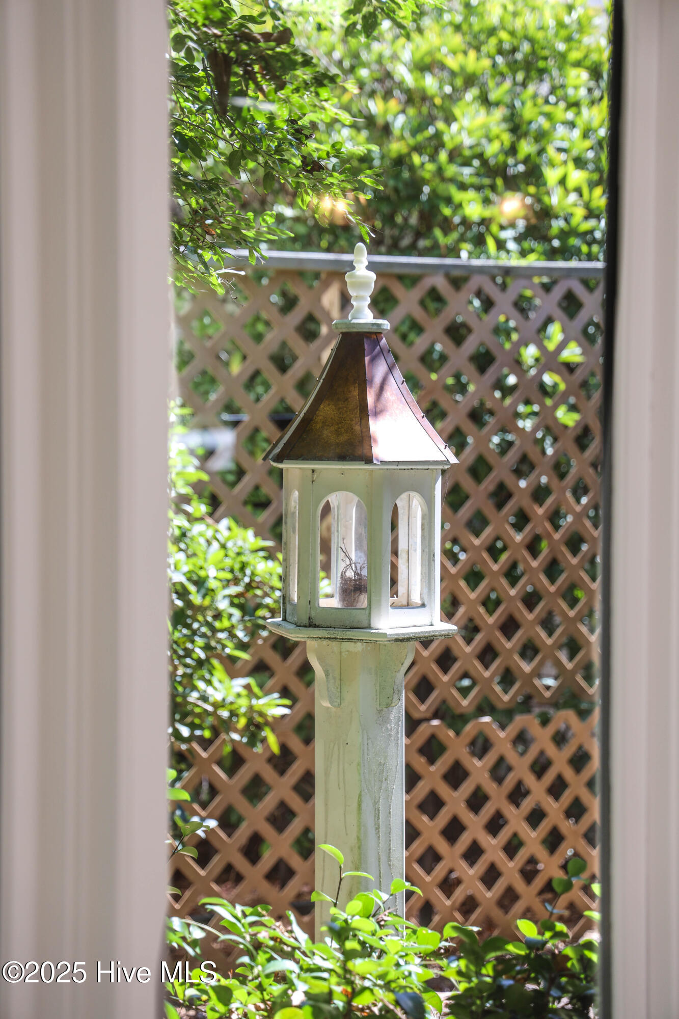 100535071 | Photo 57