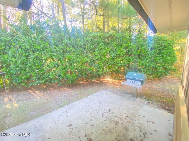 100537292 | Photo 21