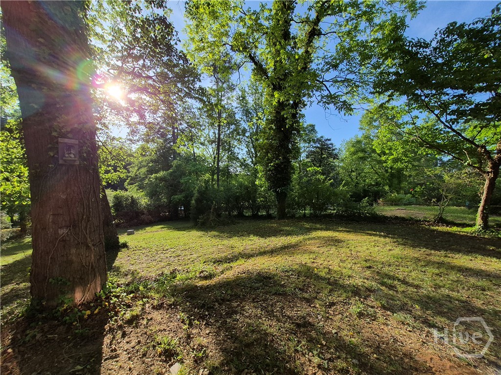 243 Rhodes Drive, Athens, GA, 30606