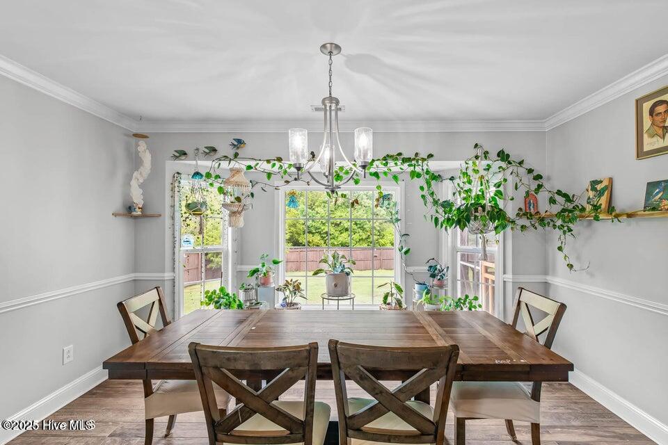 100556363 | Photo 19