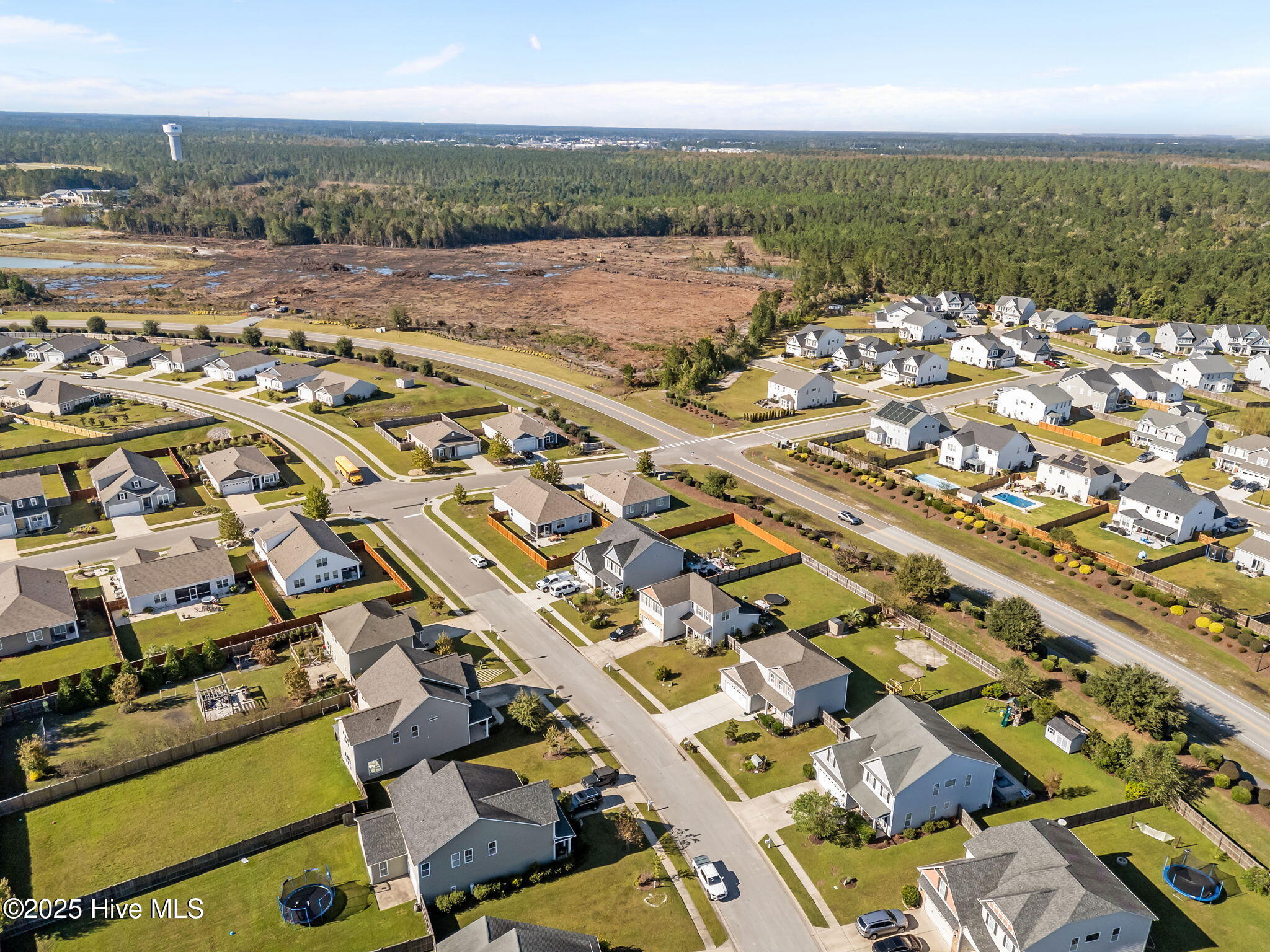 100536530 | Photo 47