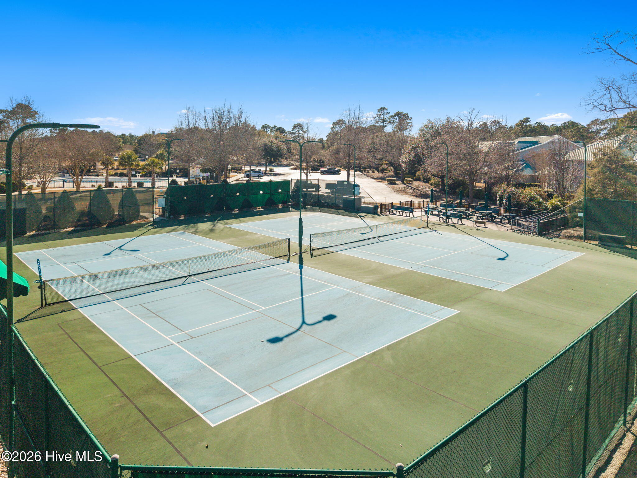 100553599 | Photo 80