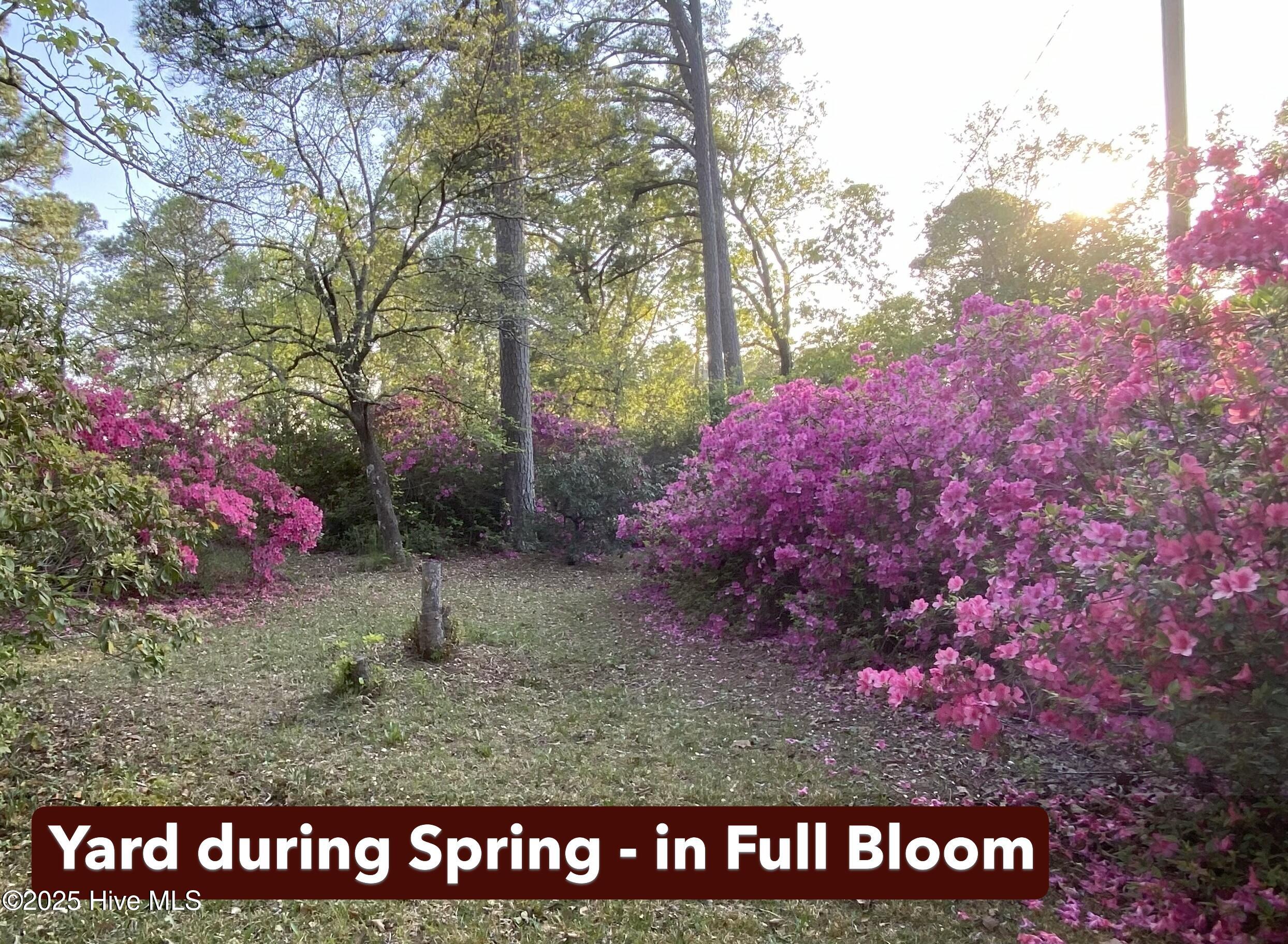 Homes for sale in Four Oaks, NC | 562 Elevation Rd, Four Oaks, NC 27524 | MLS# 100526195