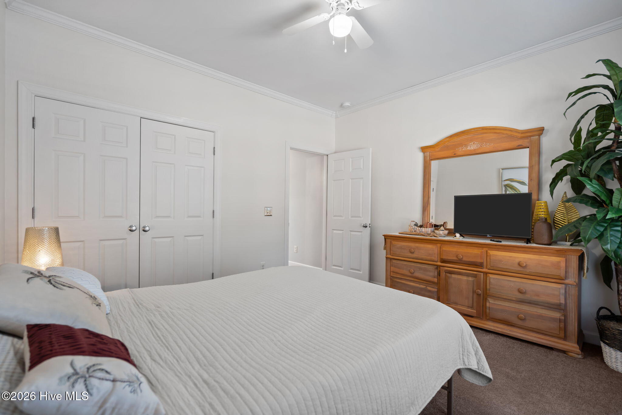 100559700 | Photo 38