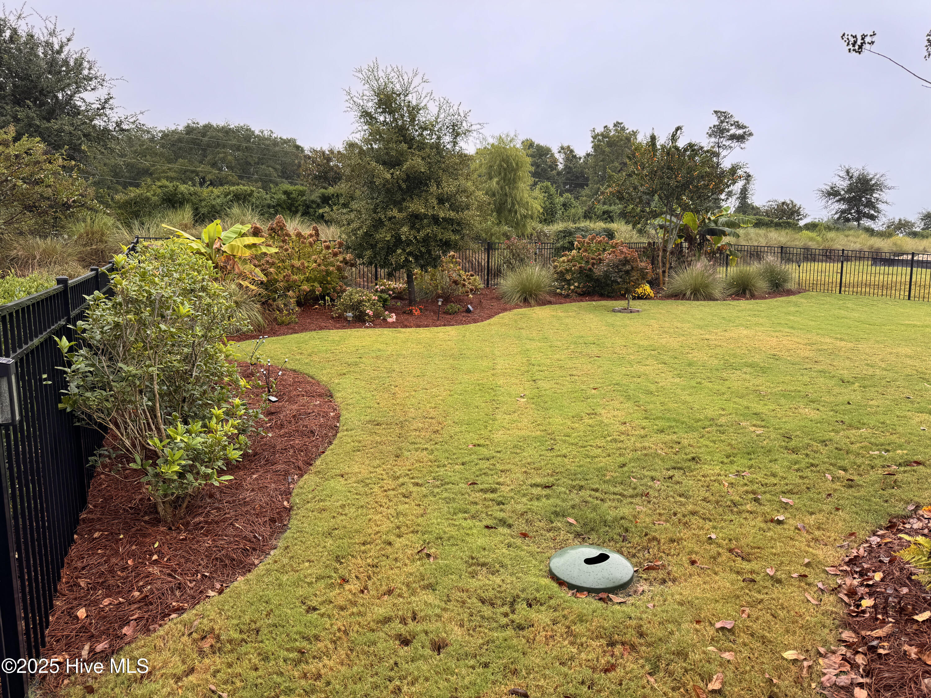 100545282 | Photo 73