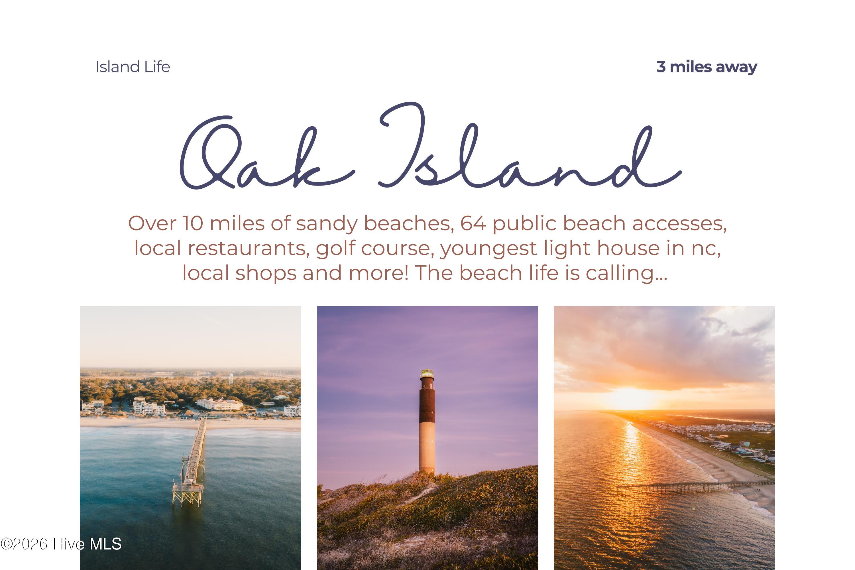 100553393 | Photo 43