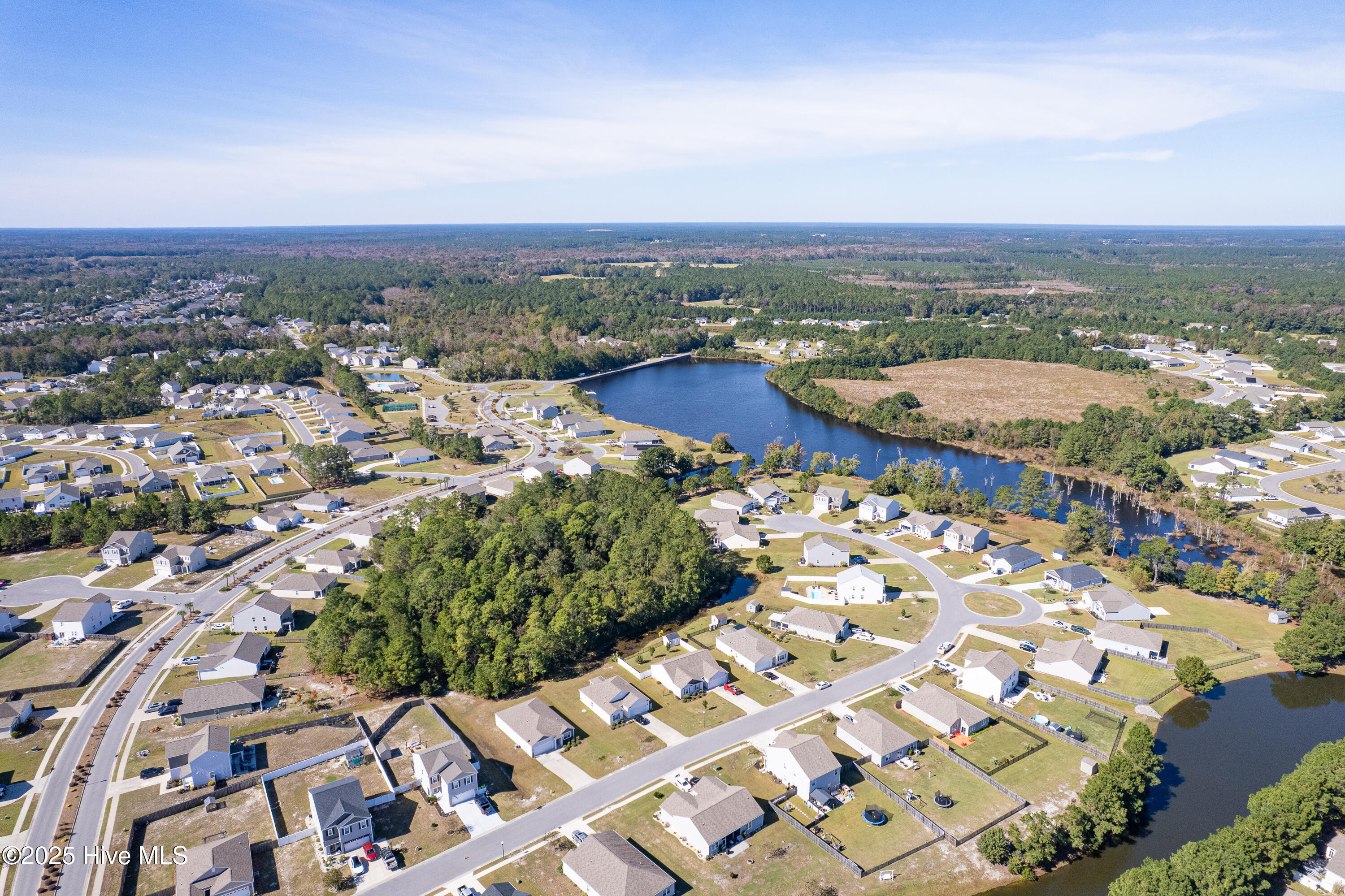 100538359 | Photo 29