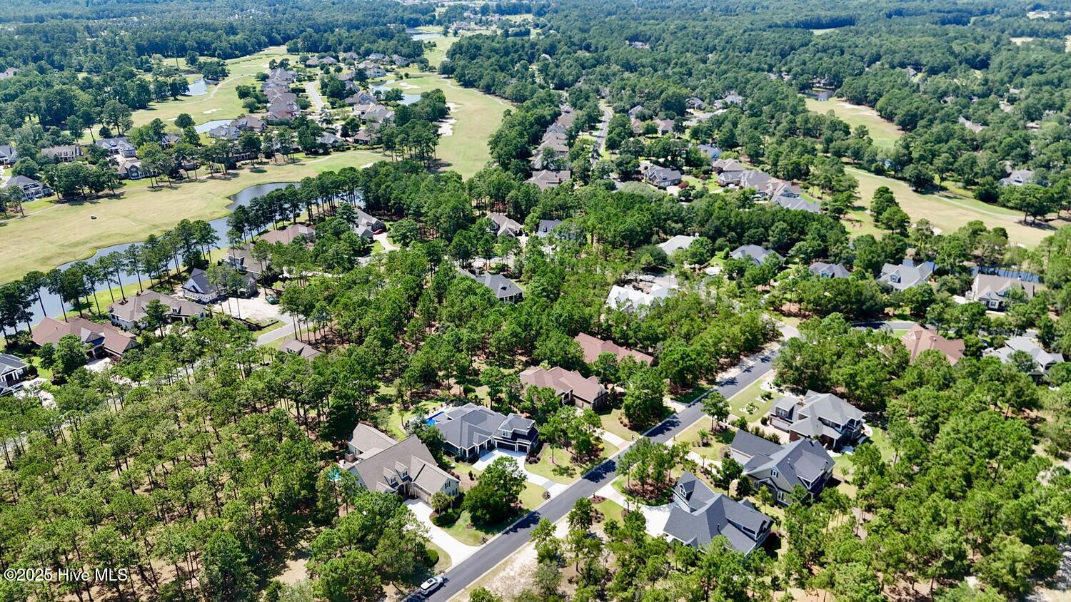 100554375 | Photo 55