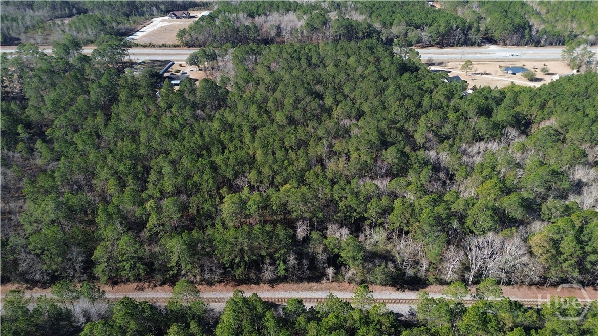 Homes for sale in Springfield, GA | 0 Hwy 21 N, Springfield, GA 31329 | MLS# SA349590