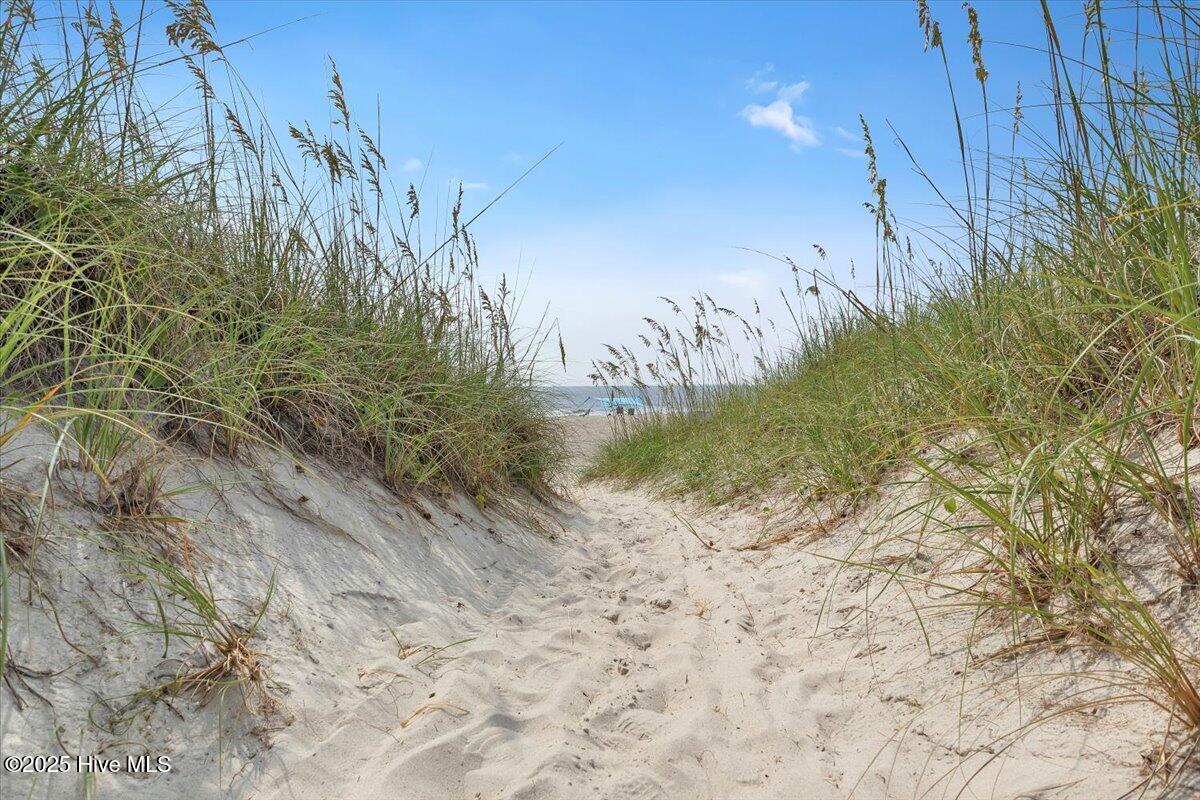 100558526 | Photo 51