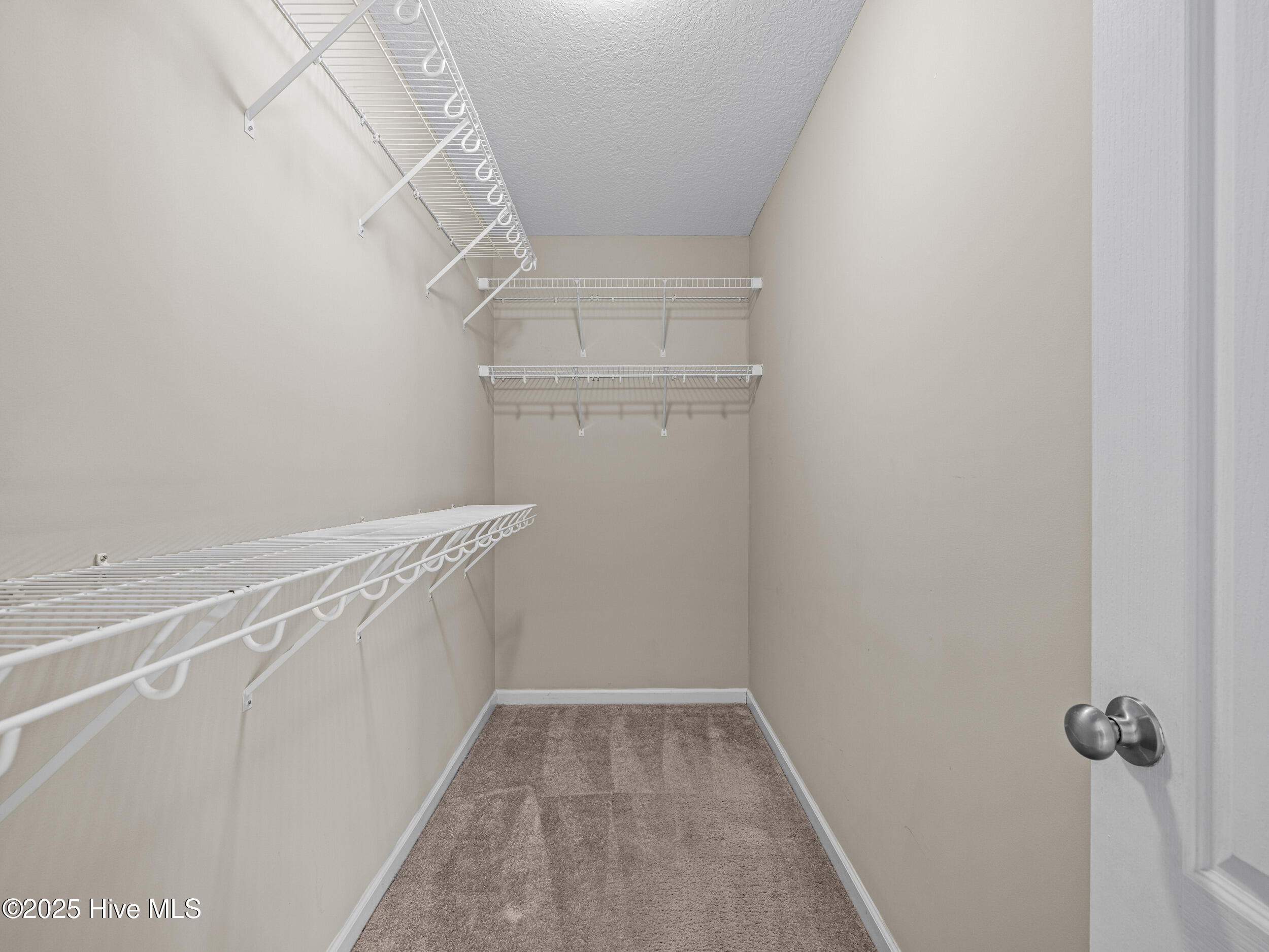 100546969 | Photo 29