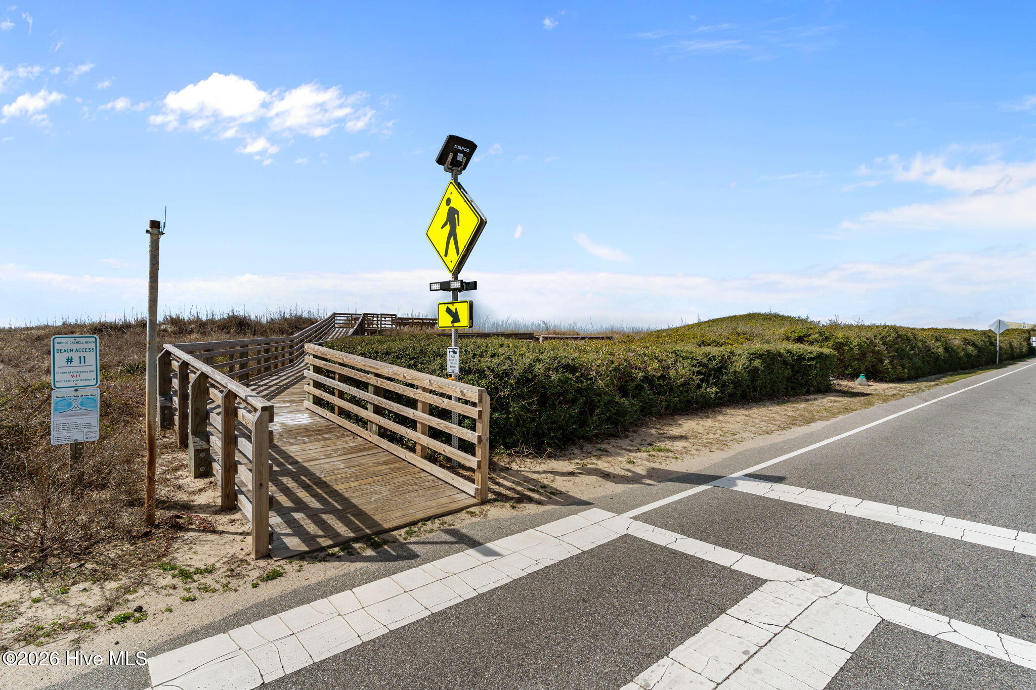 100558305 | Photo 47