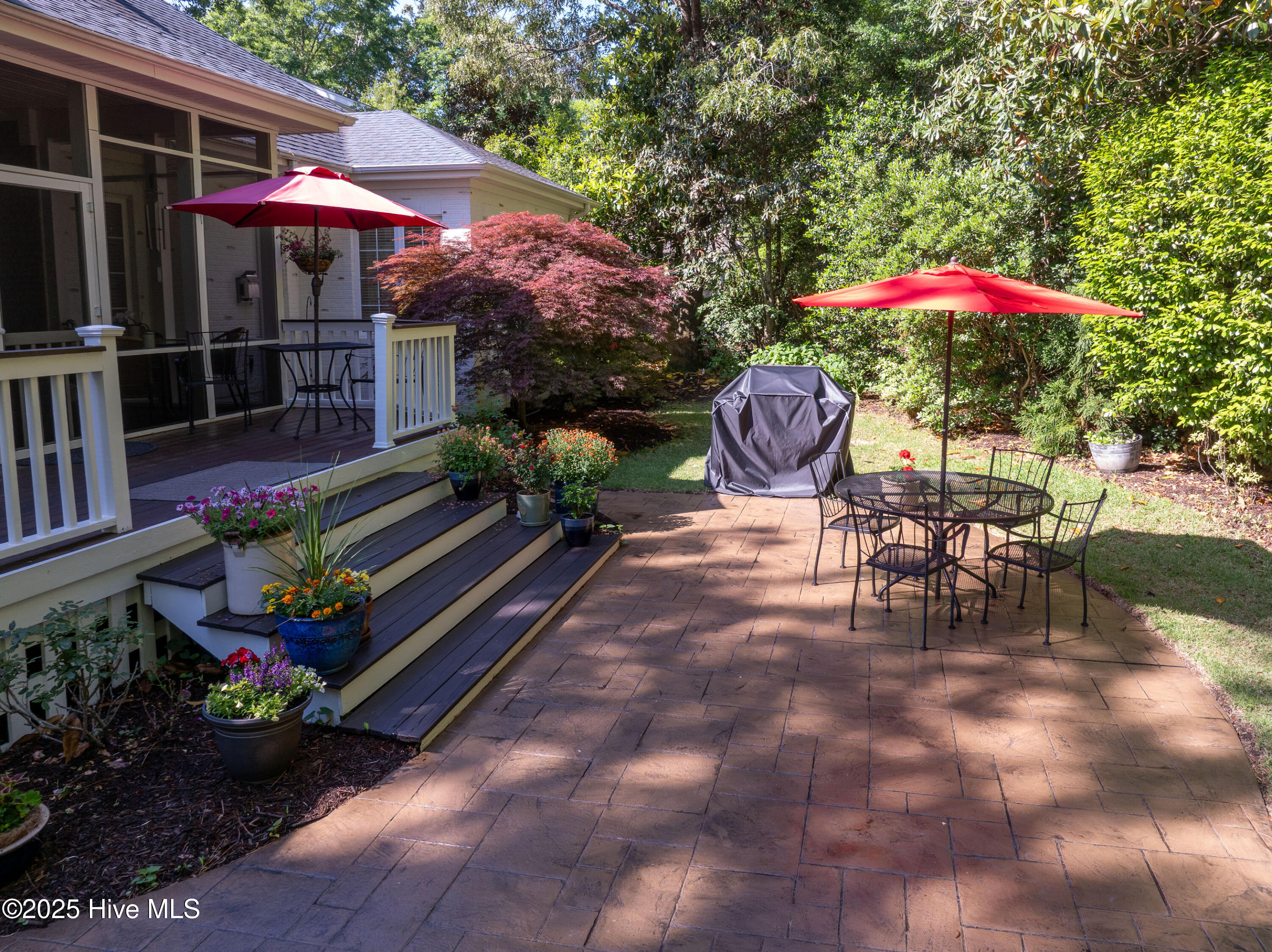 100549732 | Photo 38