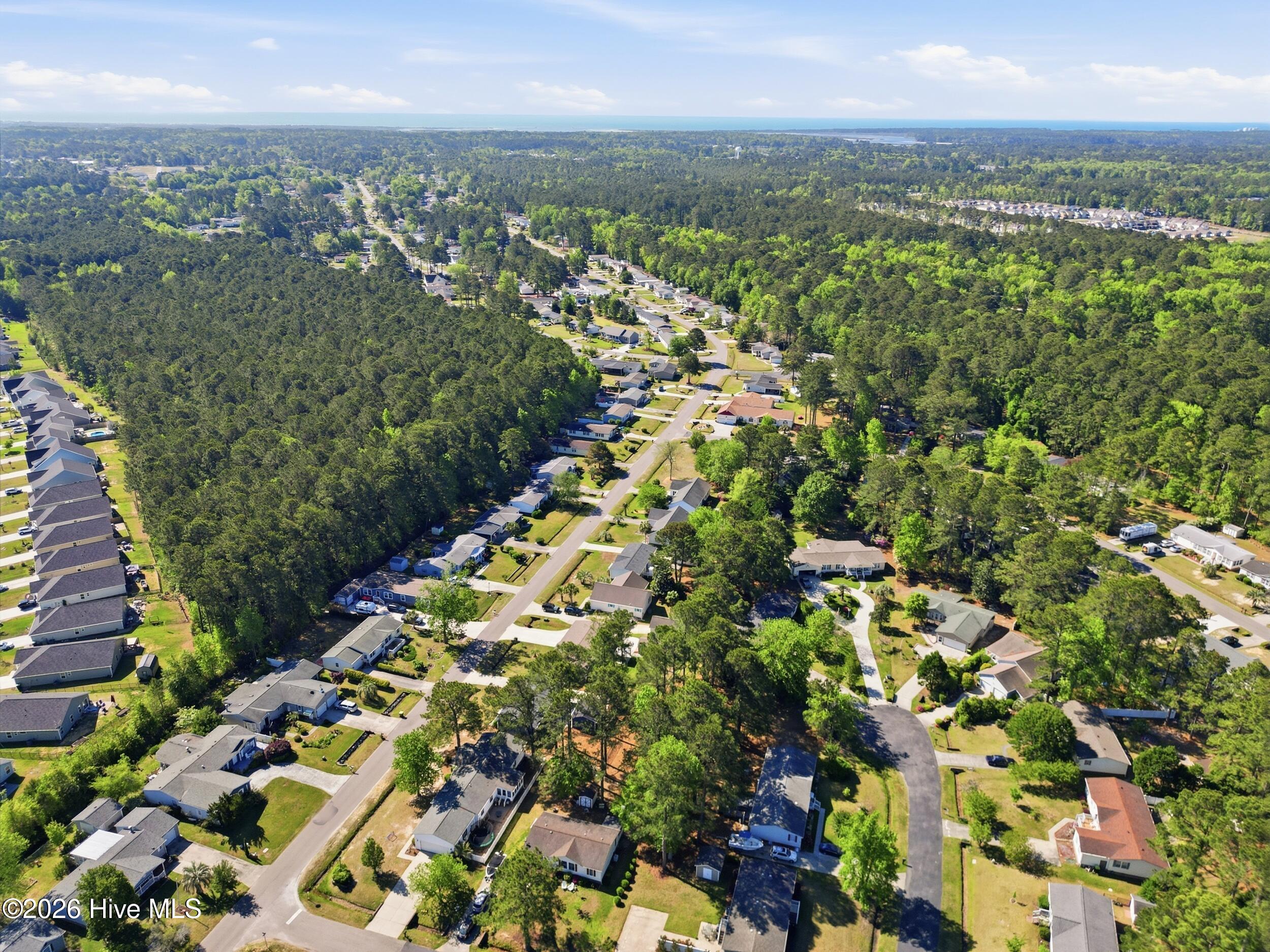 100567202 | Photo 43