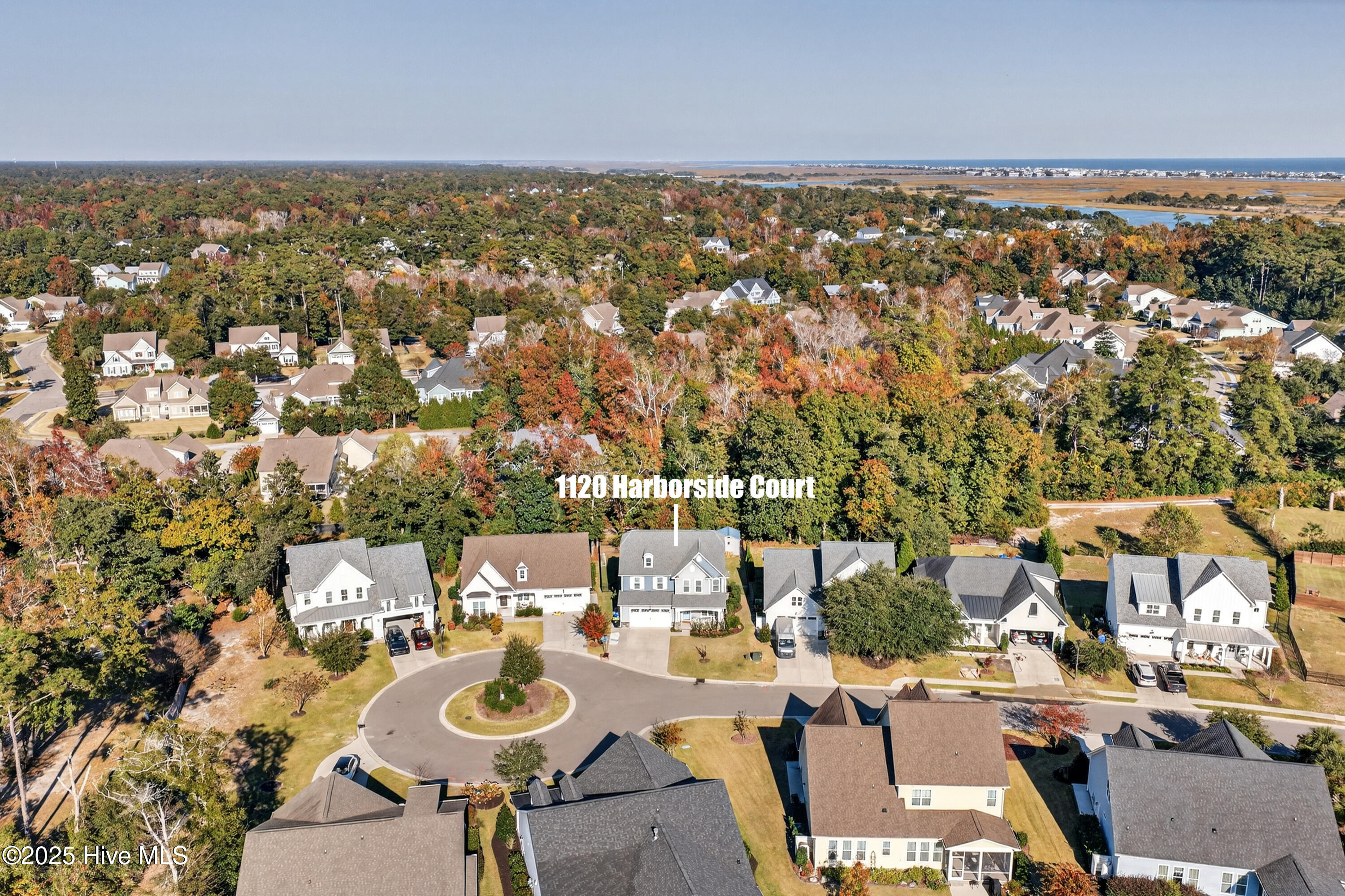 100540063 | Photo 51