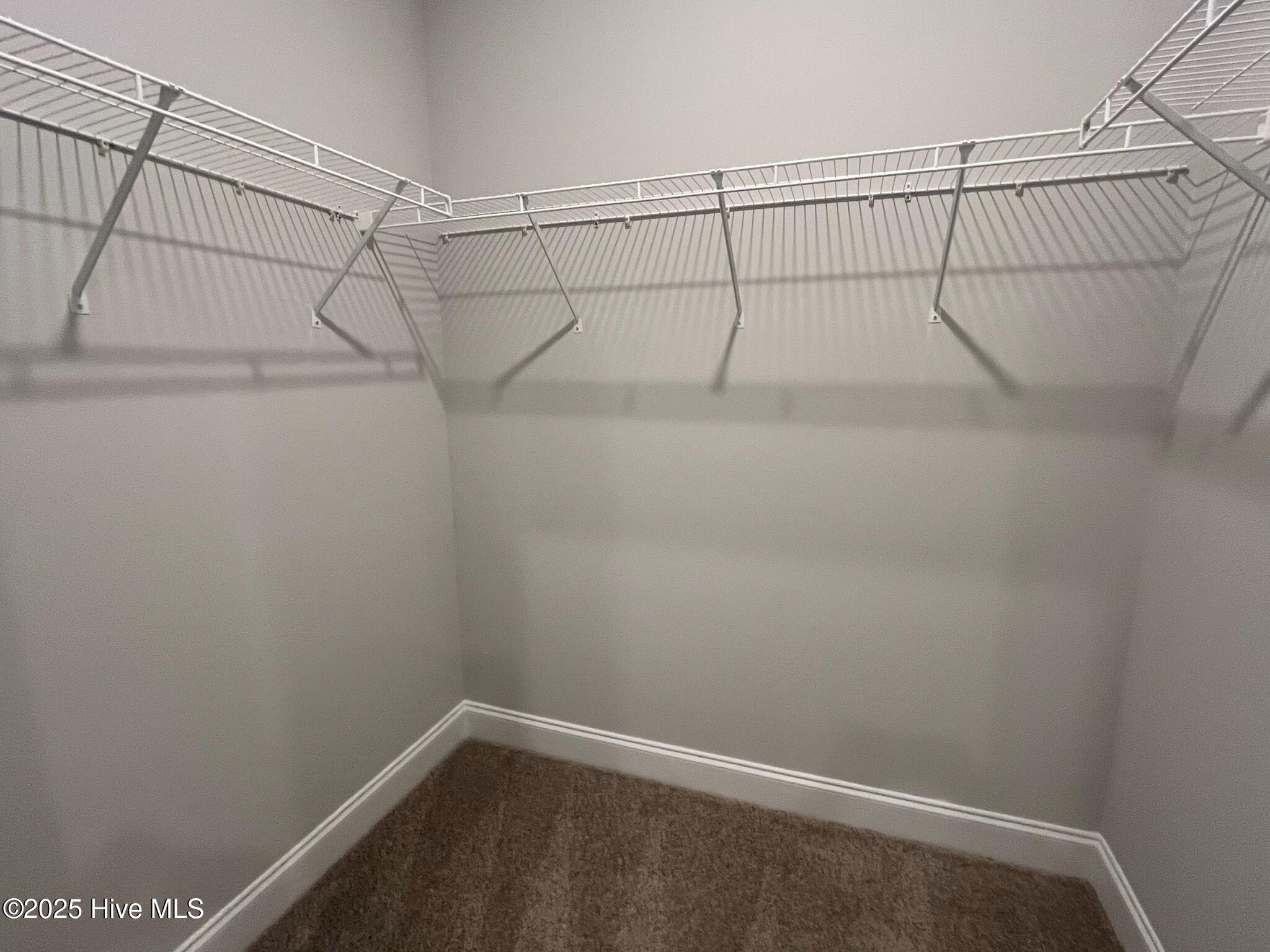 100518408 | Photo 22