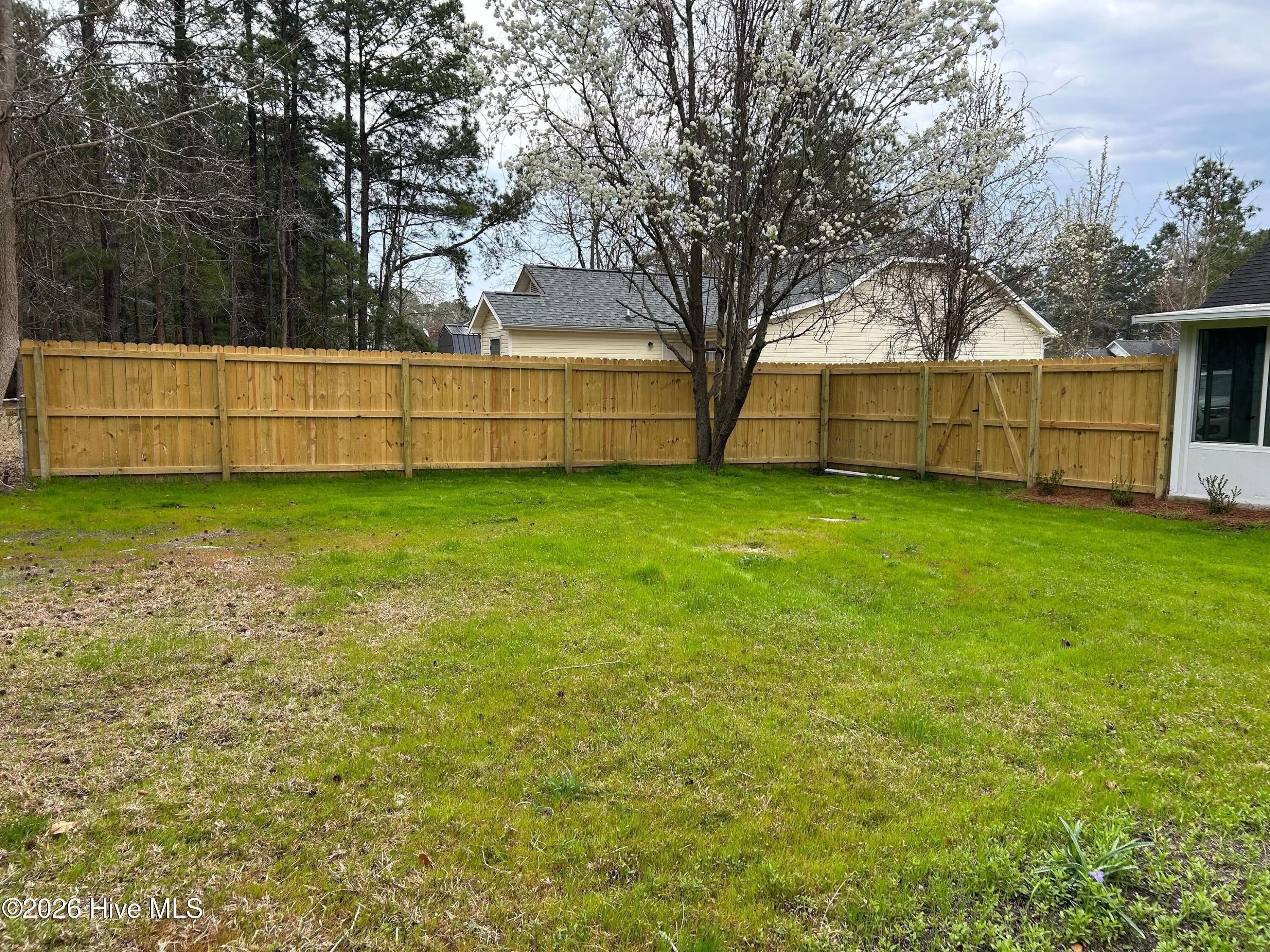 100559934 | Photo 30