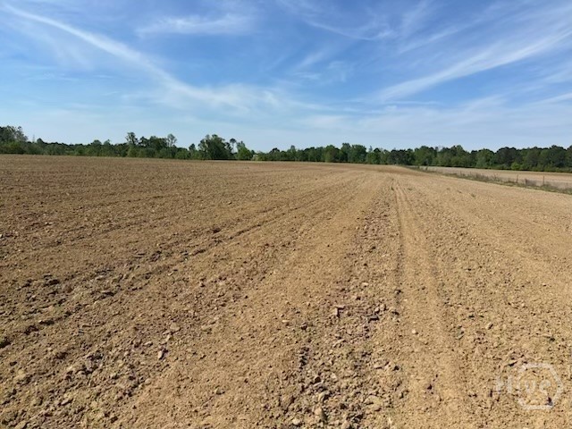 2905 Donald Cobb Road, Bartow, GA, 30413