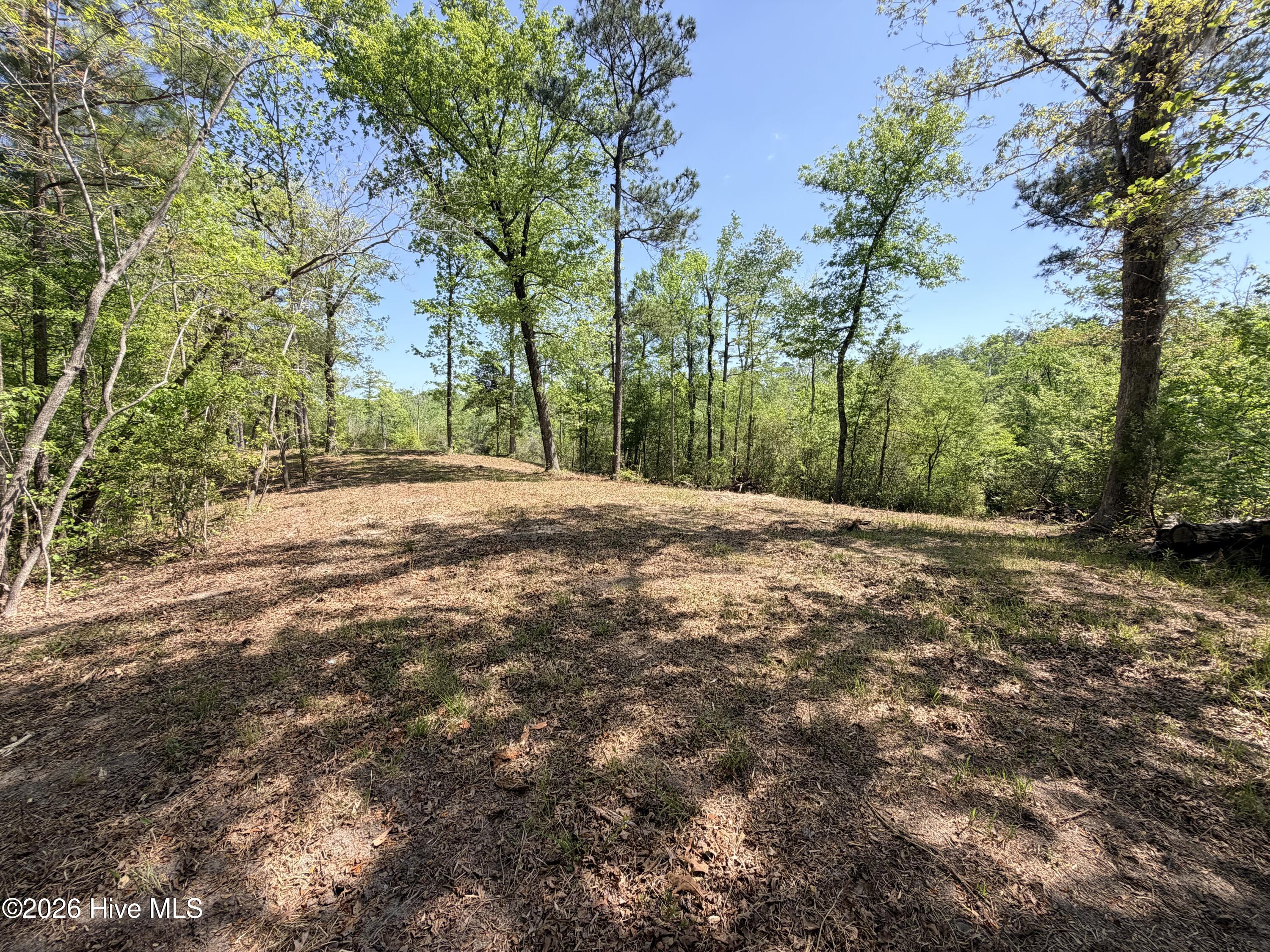 100568145 | Photo 16