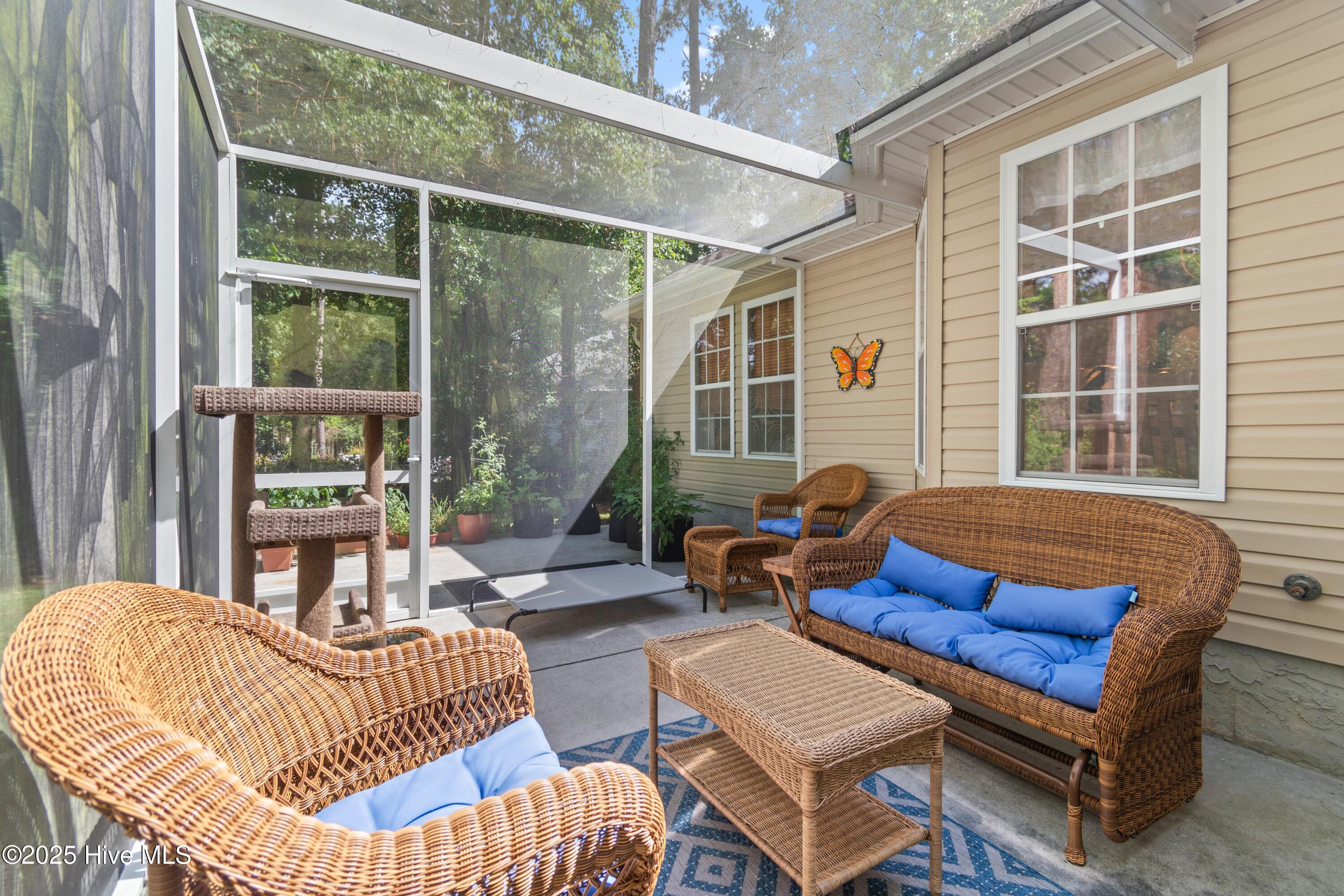 100517176 | Photo 29