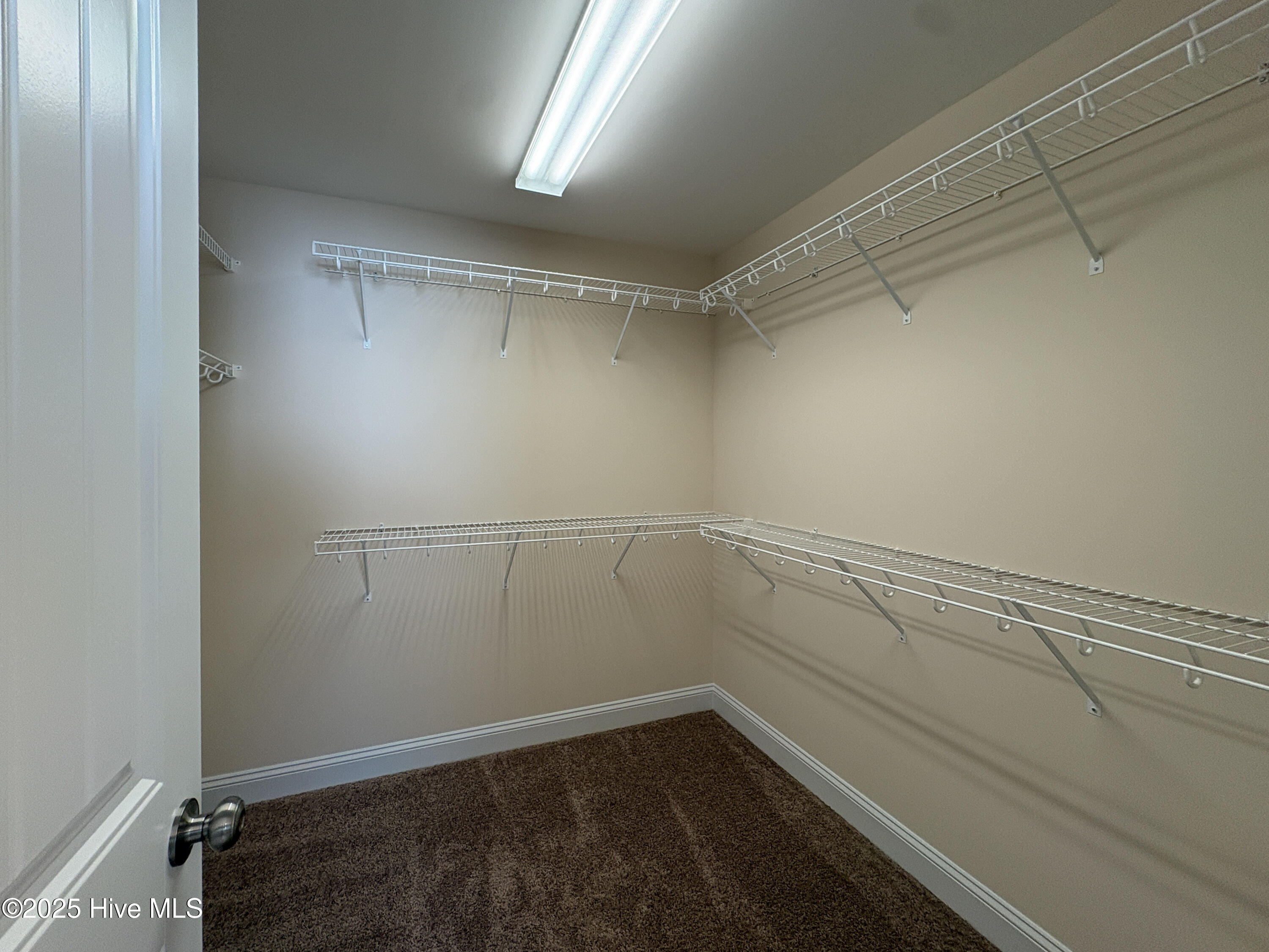 100499948 | Photo 20