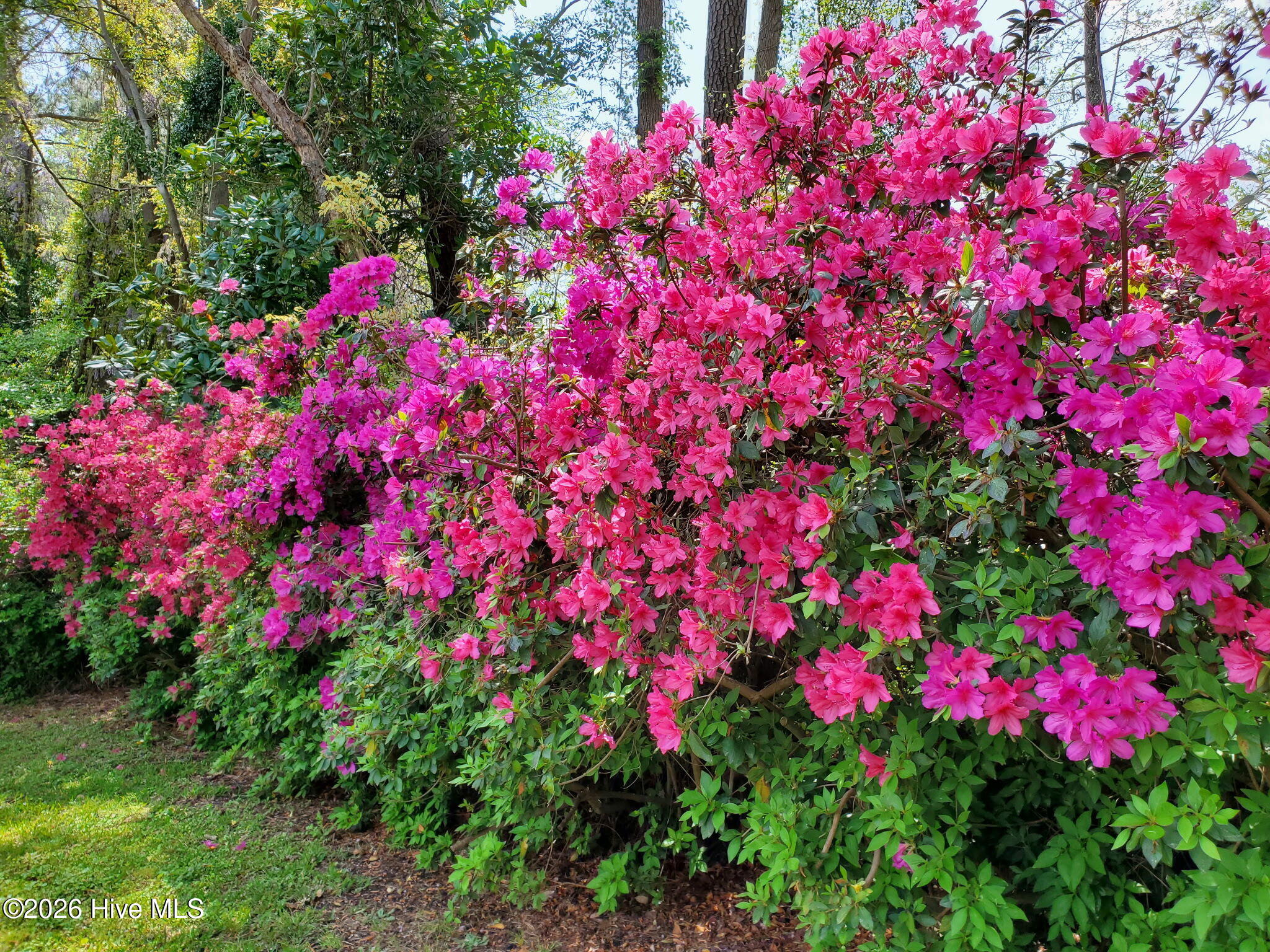 100548233 | Photo 31