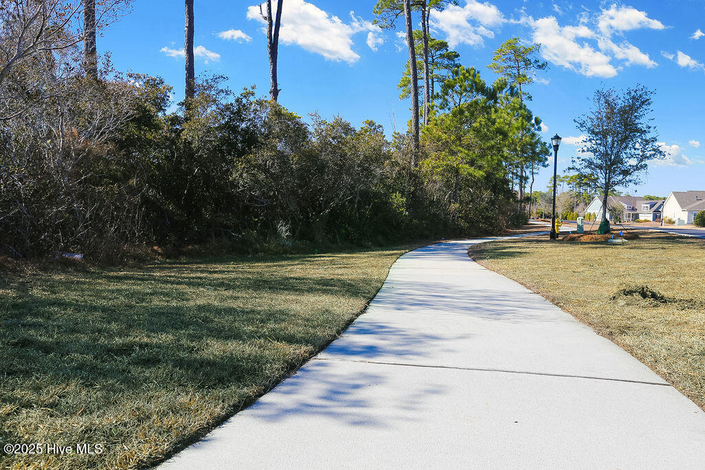 100511550 | Photo 72