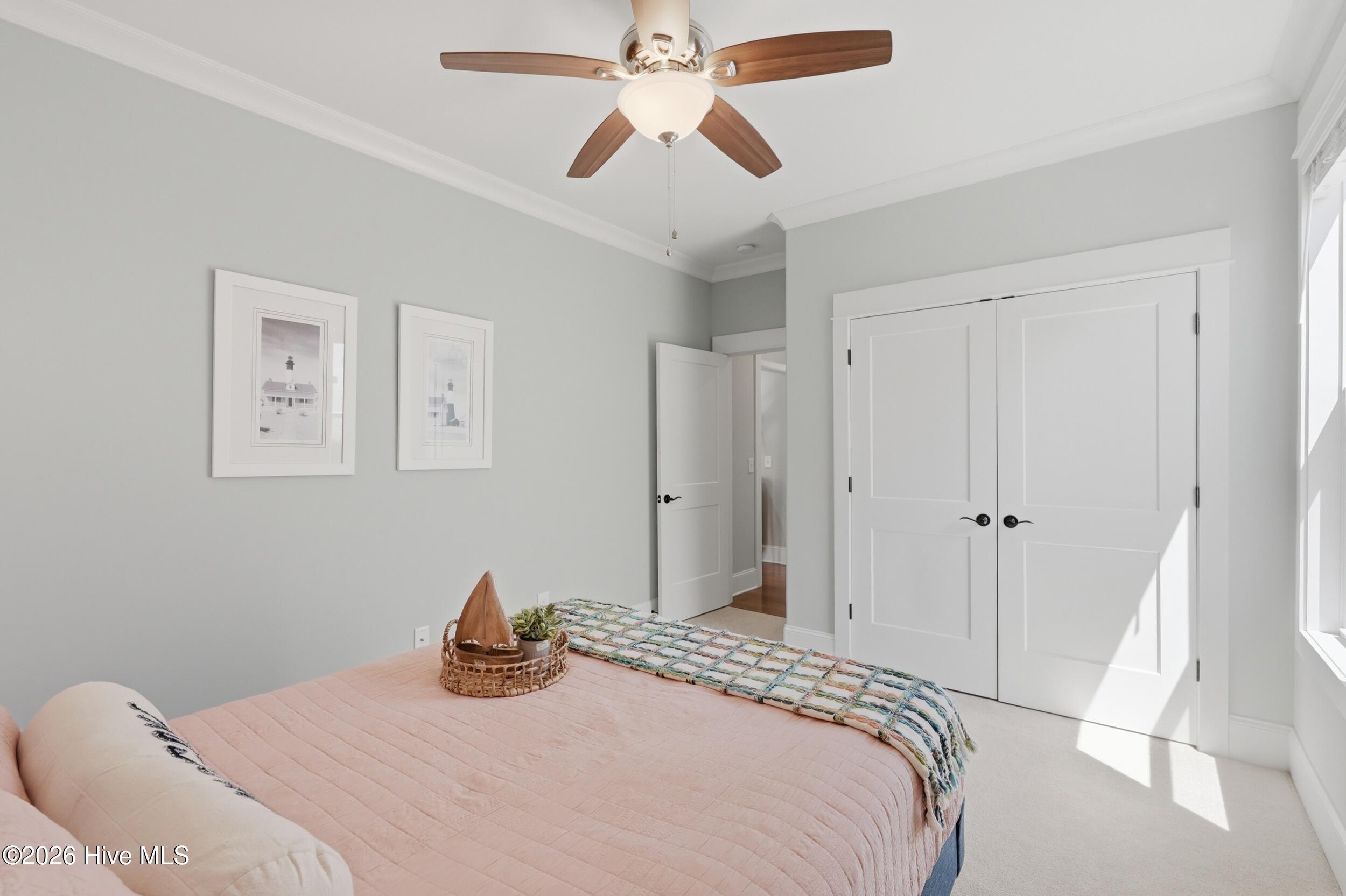 100567823 | Photo 49